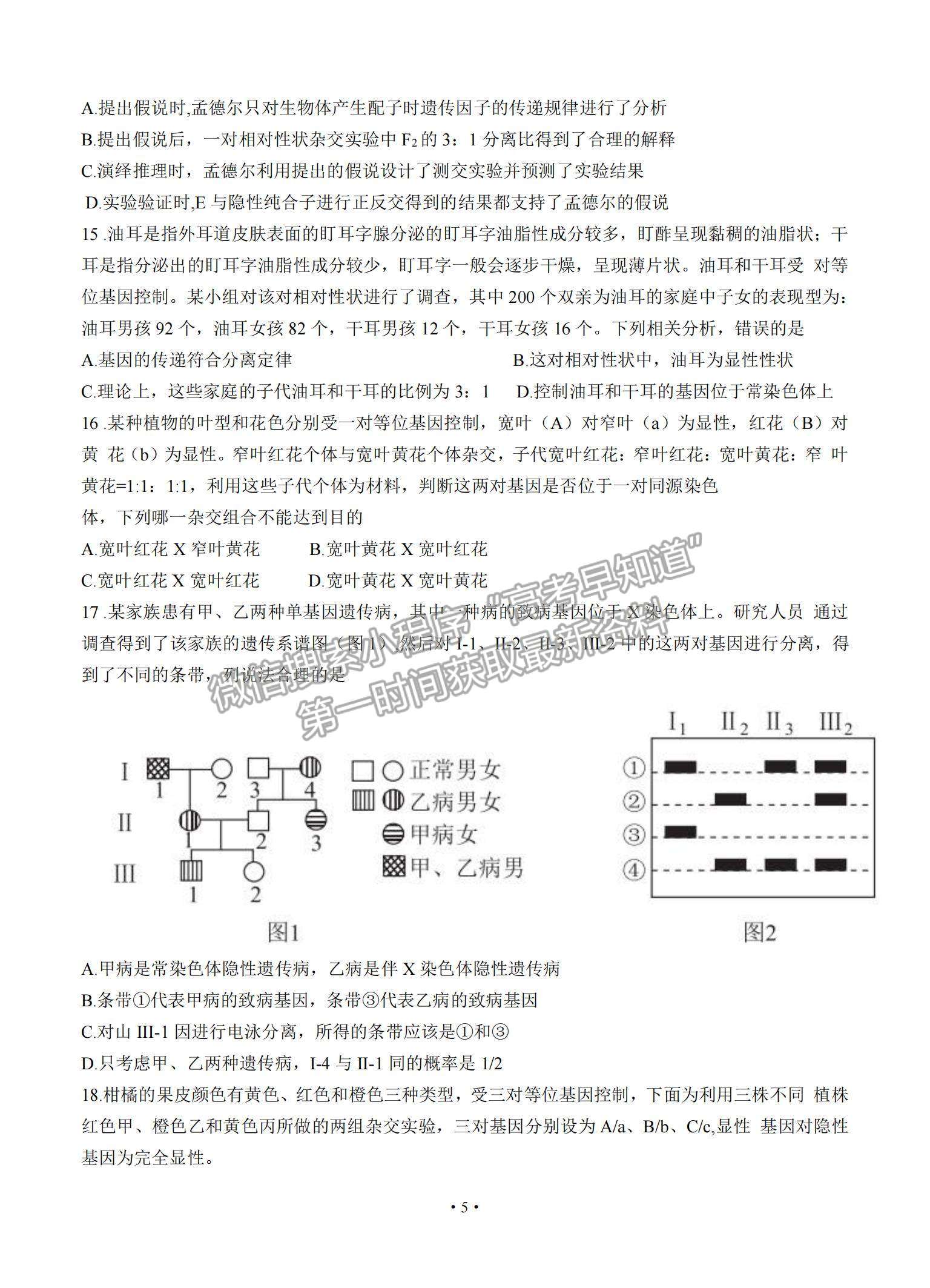 2022河南省部分名校高三上學期8月摸底聯(lián)考生物試題及參考答案