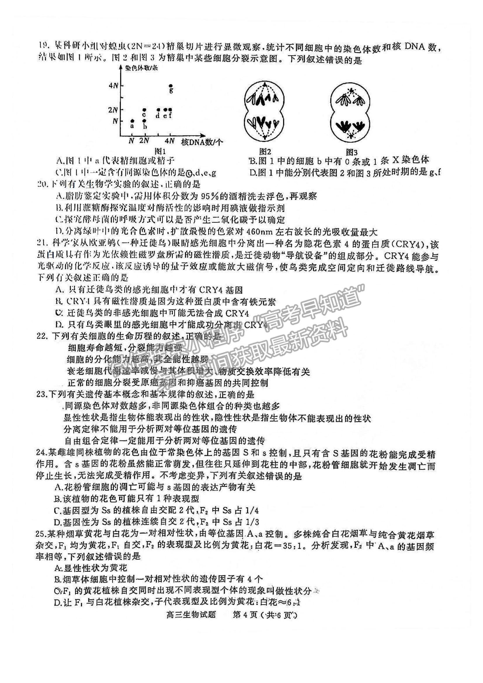 2022河南省信陽市高三第一次模擬測試生物試題及參考答案