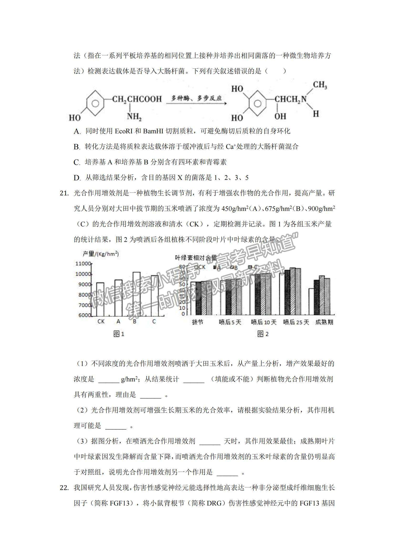 2022安徽省安慶市示范高中高三上學(xué)期8月月考生物試題及參考答案