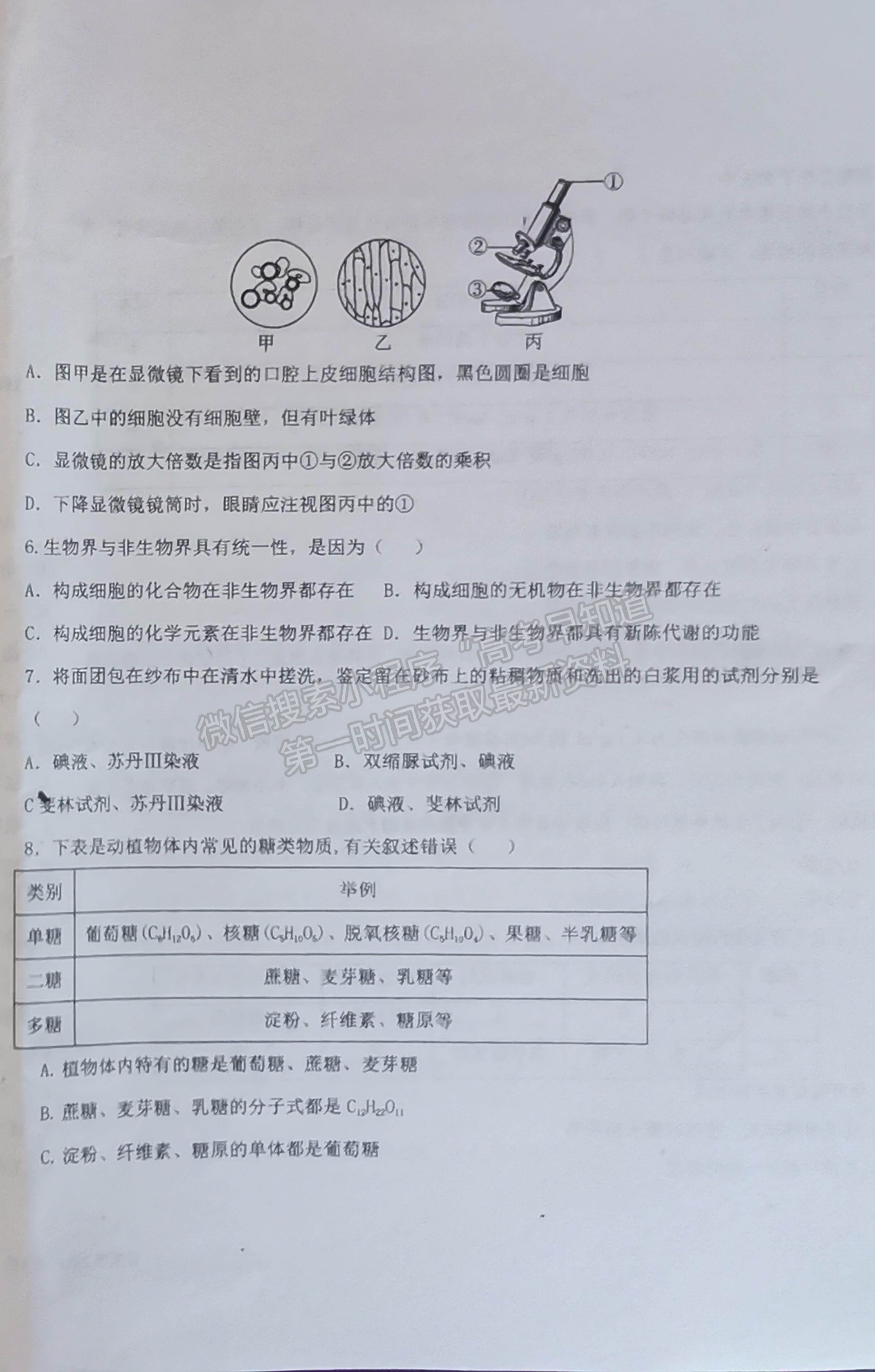 2022山東省濟(jì)南市商河縣第三中學(xué)高一10月月考生物試題及參考答案