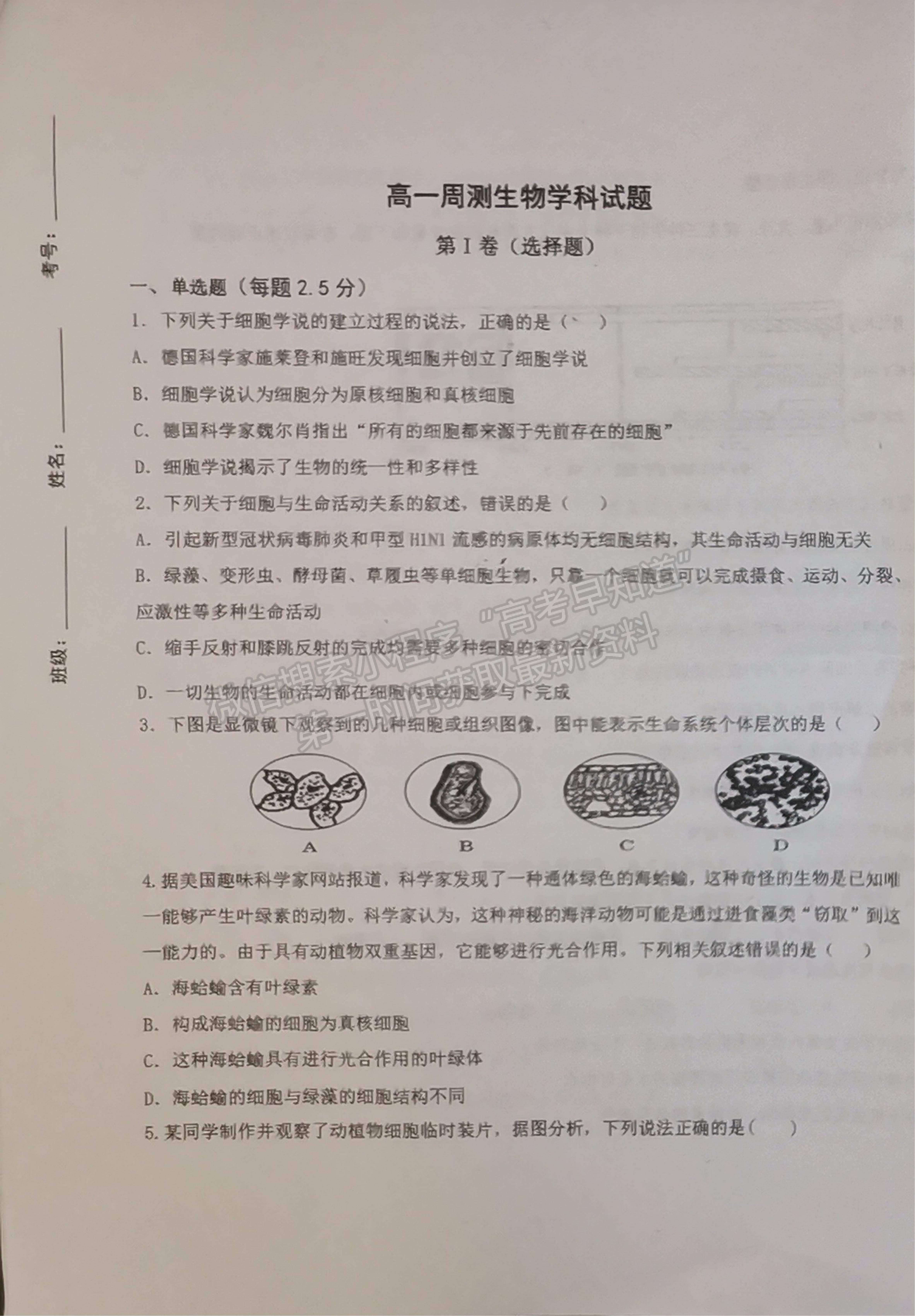 2022山東省濟(jì)南市商河縣第三中學(xué)高一10月月考生物試題及參考答案