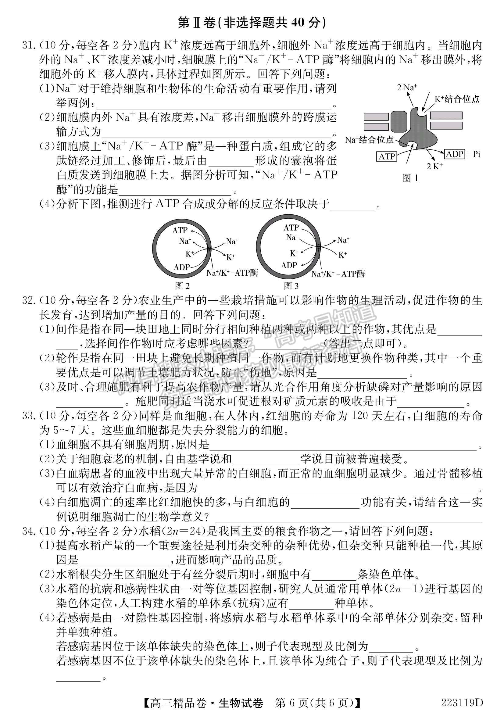 2022安徽名校高三精品卷生物試卷及參考答案