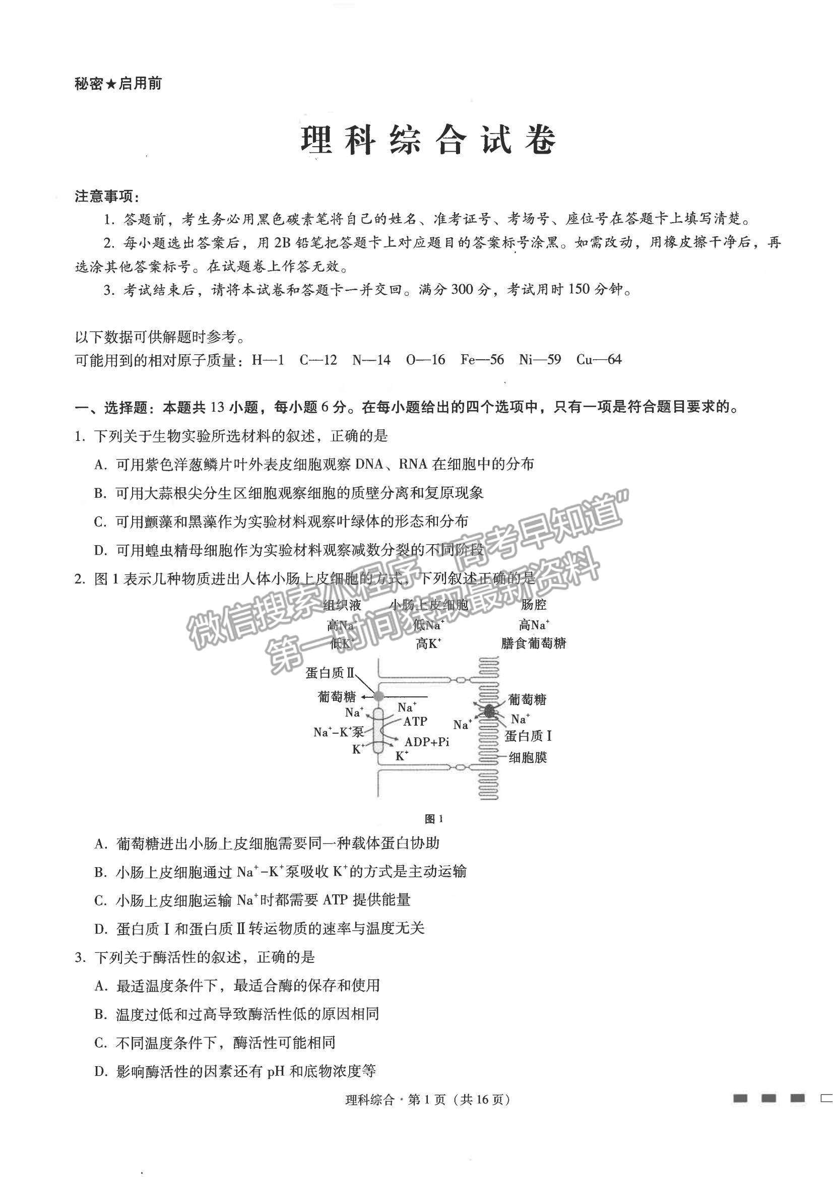 2022云南省師范大學附屬中學高三高考適應性月考卷（四）理綜試題及參考答案