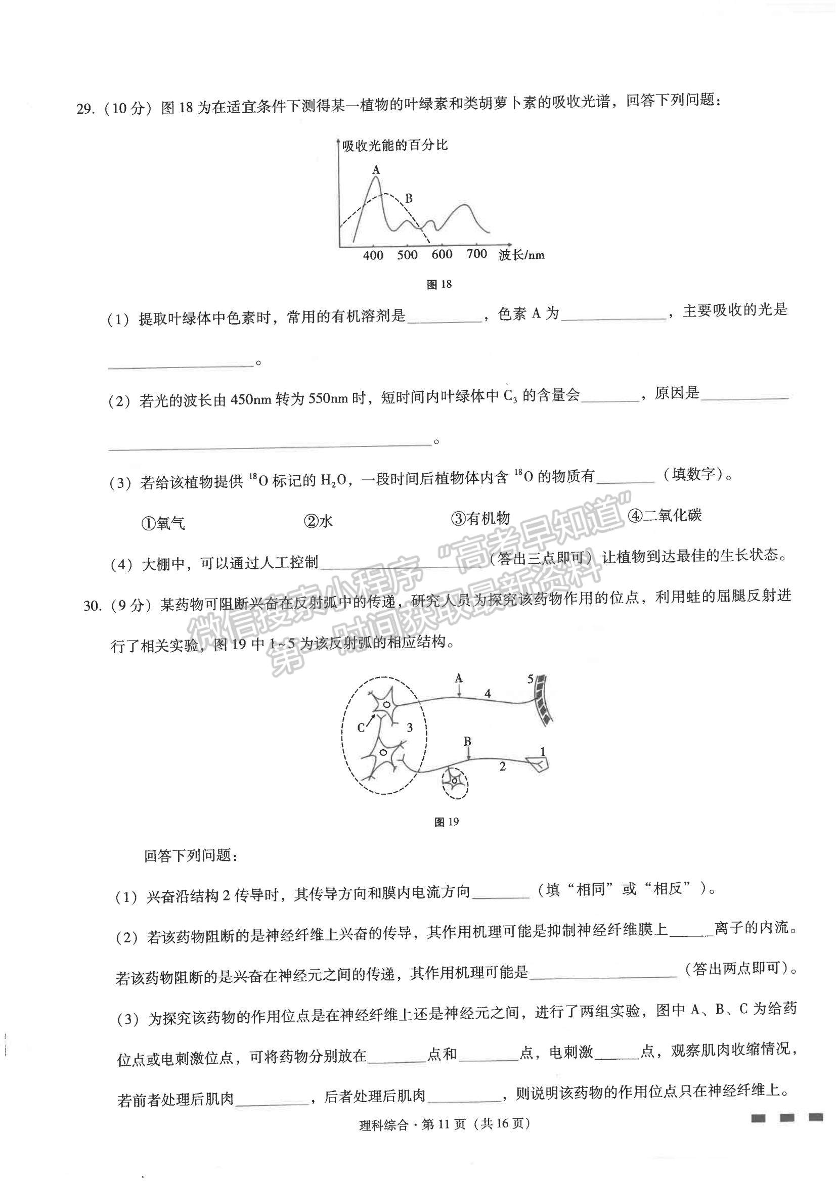 2022云南省師范大學附屬中學高三高考適應性月考卷（四）理綜試題及參考答案