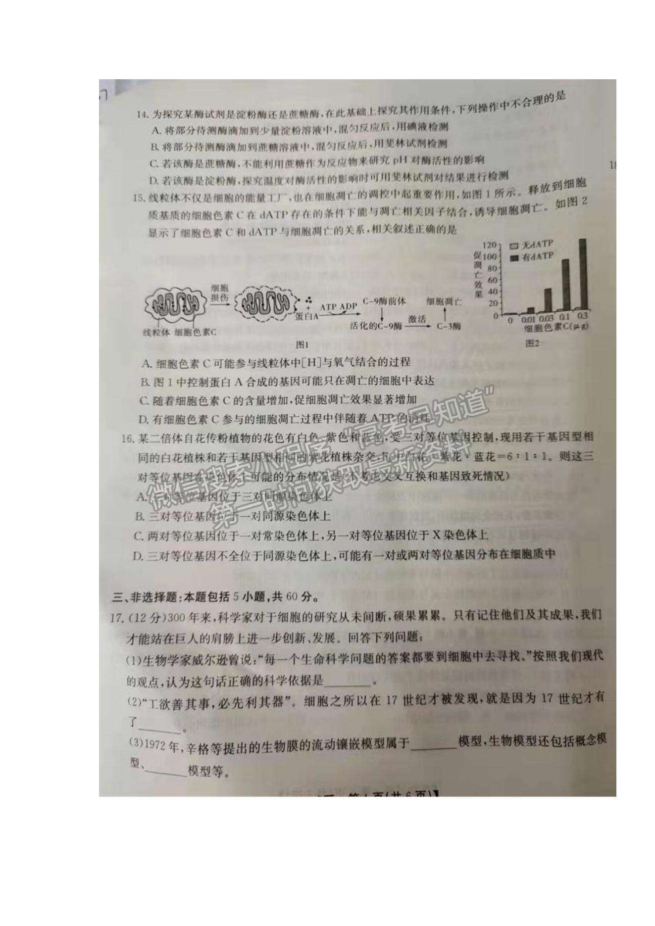 2022湖南省三湘名校教育聯(lián)盟高三第一次大聯(lián)考生物試題及參考答案