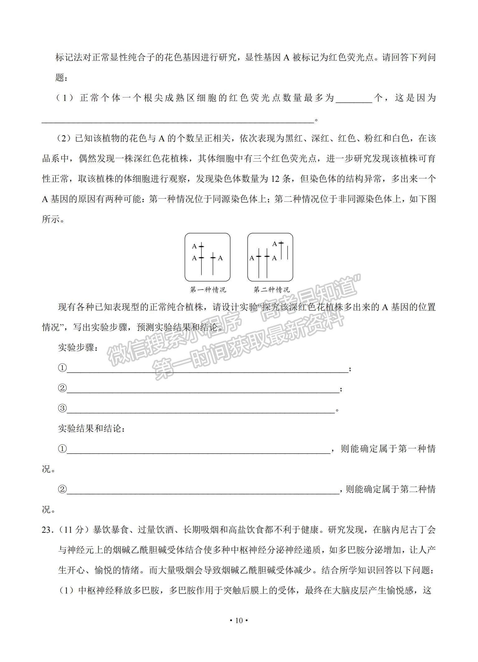 2021山東省泰安肥城市高三下學(xué)期高考適應(yīng)性訓(xùn)（一）生物試題及參考答案