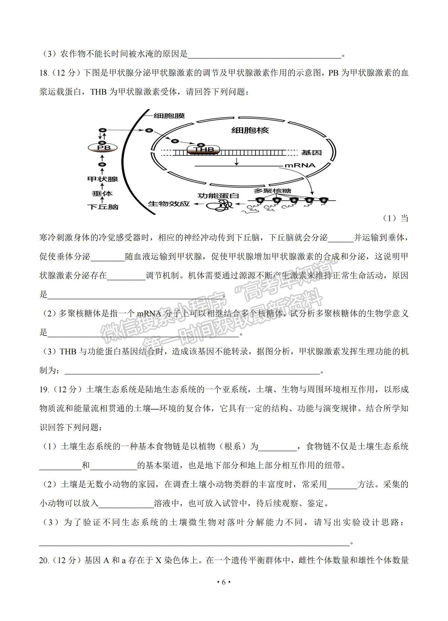 2021廣東省普寧市普師高級中學(xué)高三下學(xué)期第二次模擬生物試題及參考答案