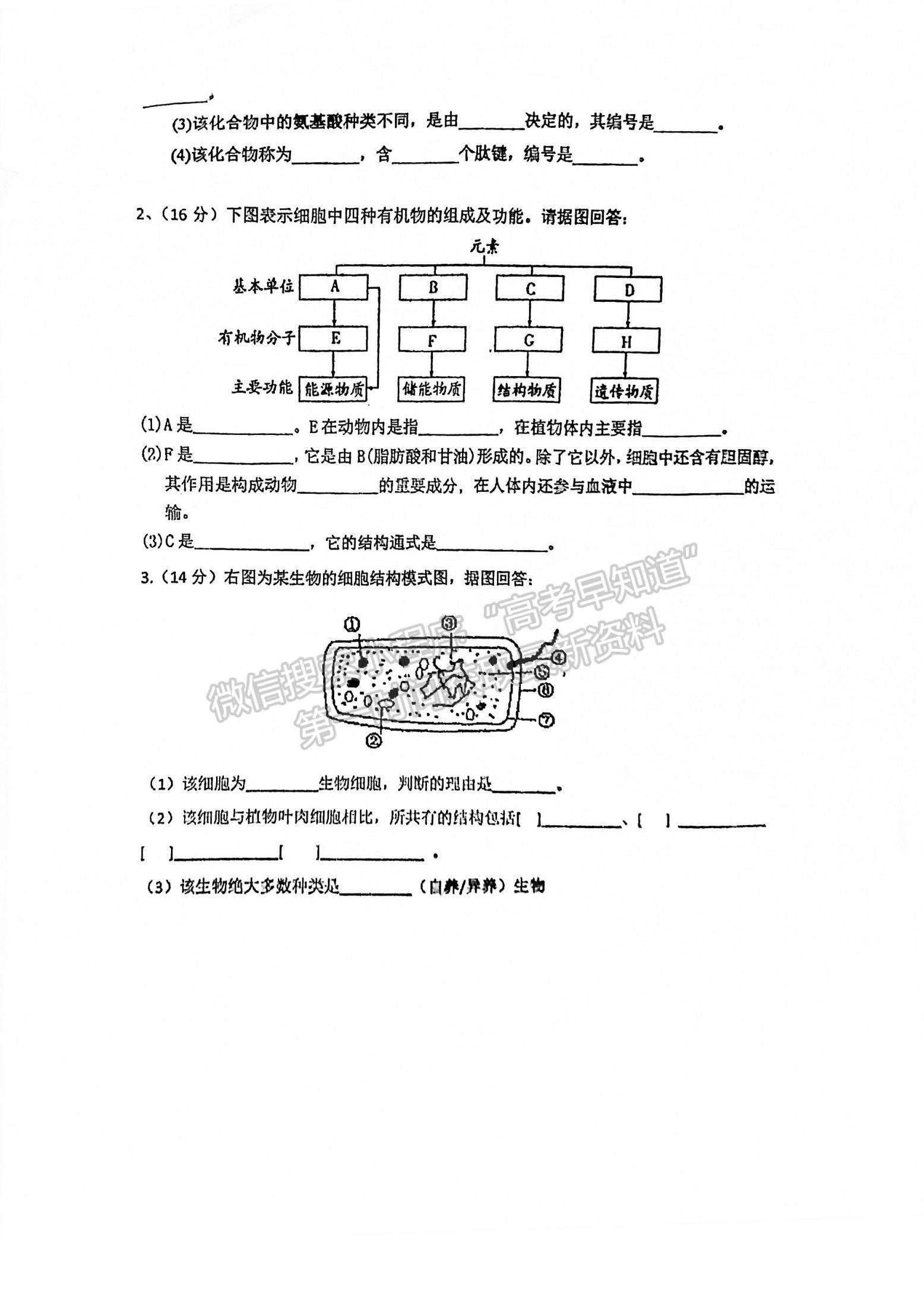 2022福州高新區(qū)第一中學(xué)高一上學(xué)期第一次作業(yè)監(jiān)測生物試題及參考答案