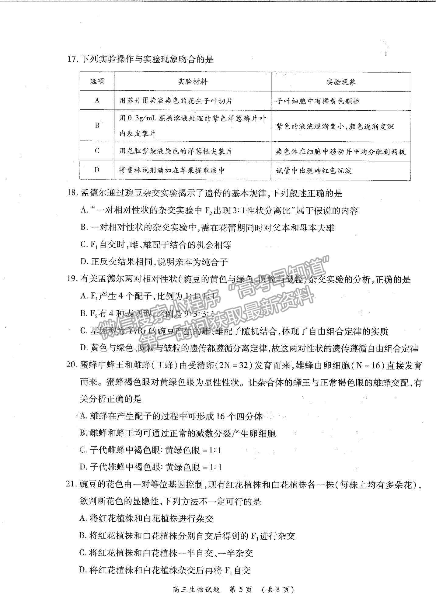 2022河南省中原名校高三上學(xué)期第一次聯(lián)考生物試題及參考答案