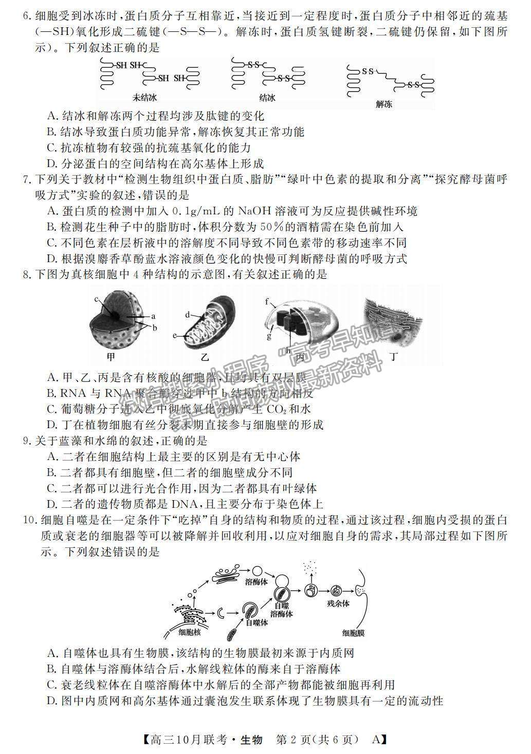 2022河南省名校聯(lián)盟高三上學(xué)期10月聯(lián)考生物試題及參考答案