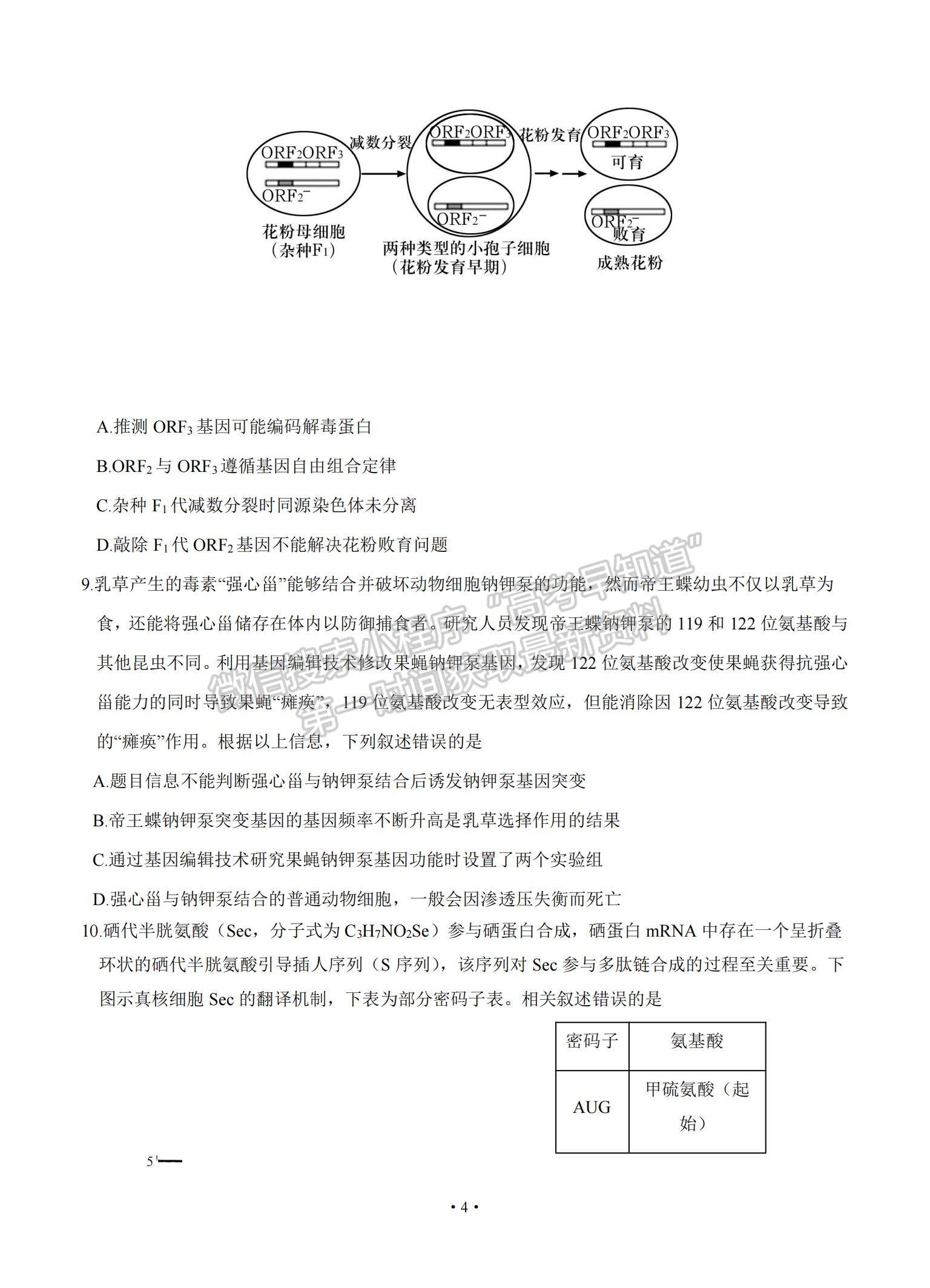 2021山東省泰安肥城市高三下學(xué)期高考適應(yīng)性訓(xùn)（一）生物試題及參考答案