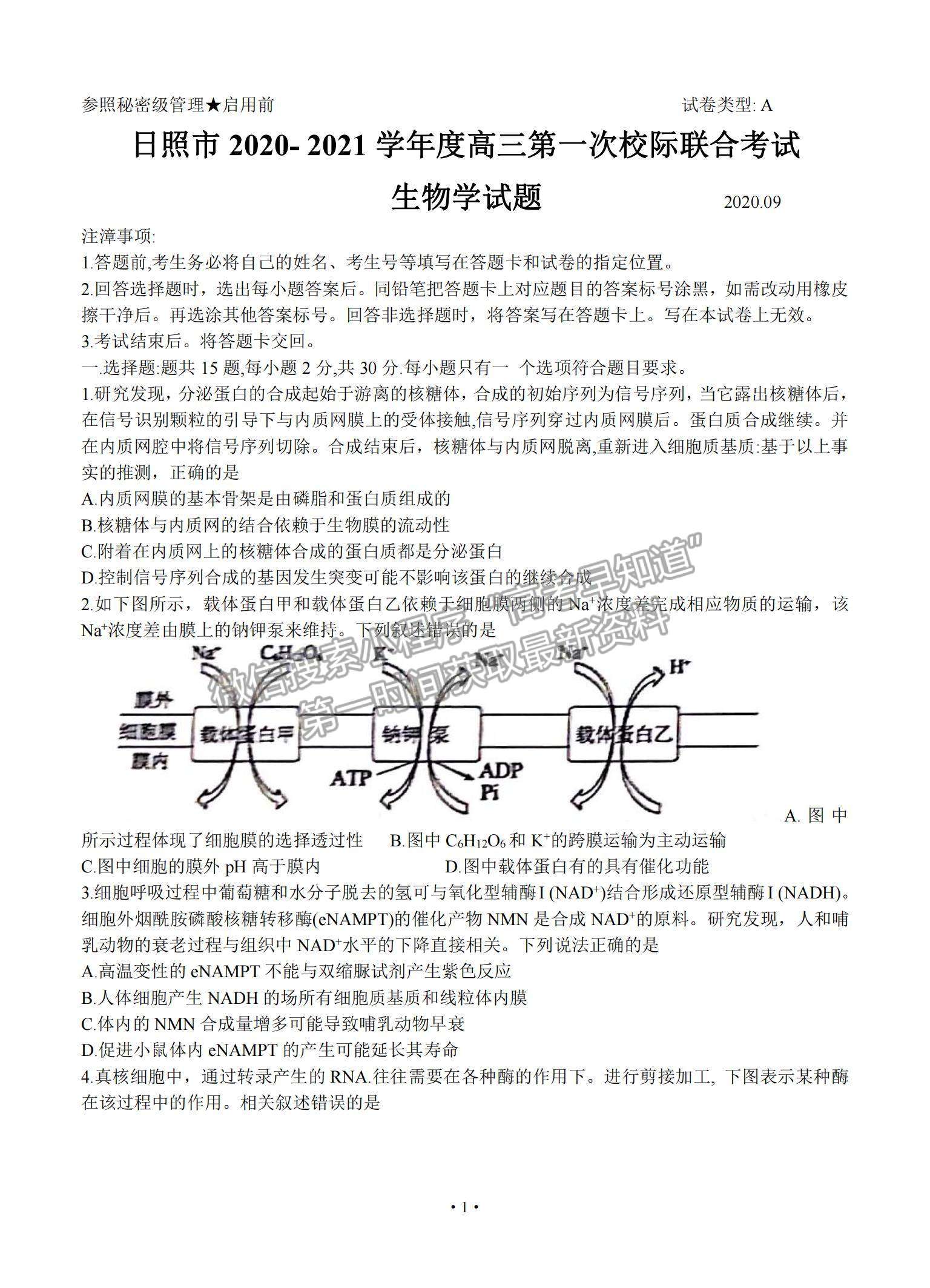 2021山東省日照市高三上學(xué)期9月校際聯(lián)考生物試題及參考答案