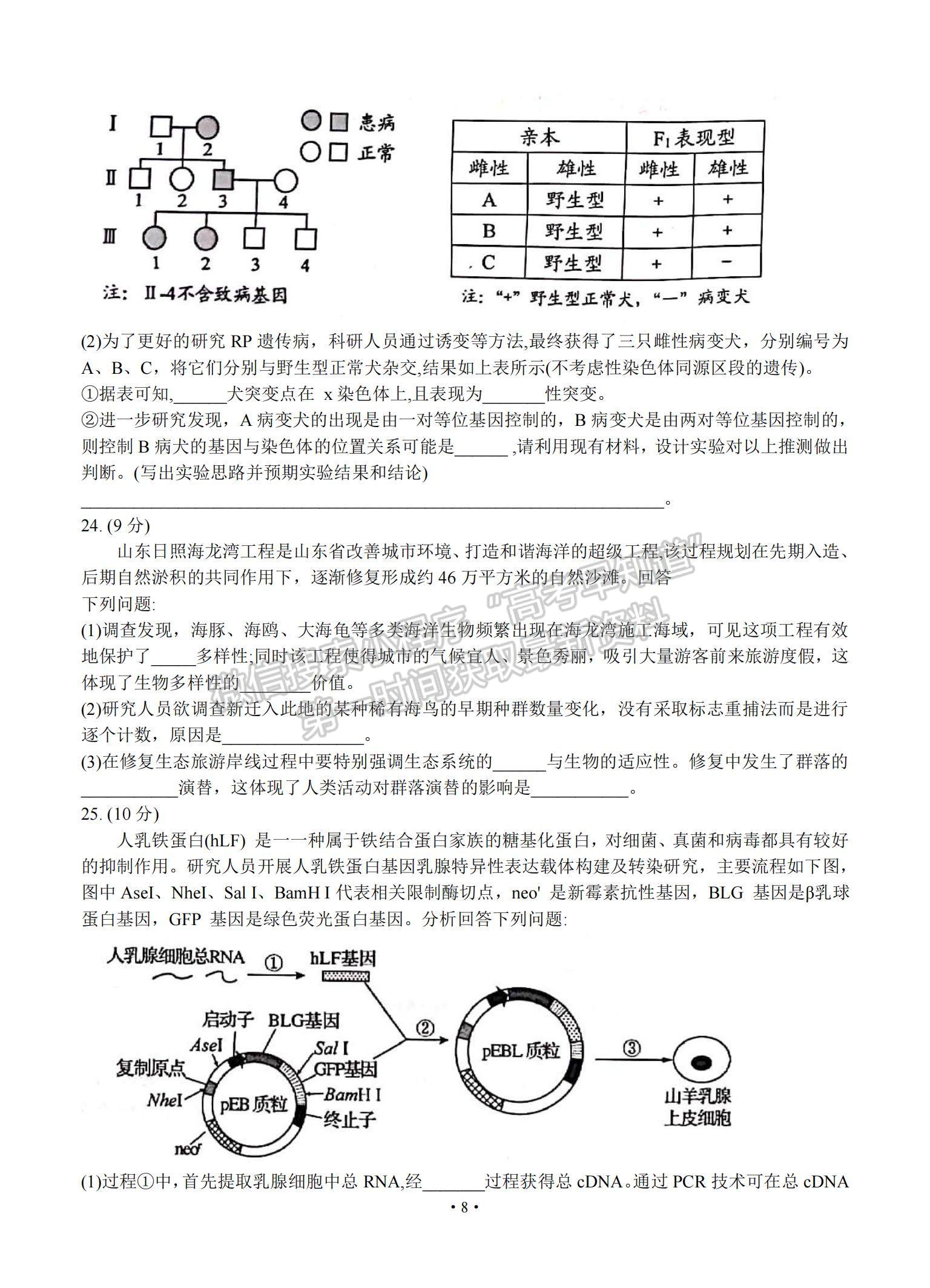 2021山東省日照市高三上學(xué)期9月校際聯(lián)考生物試題及參考答案