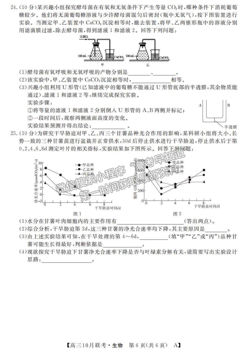 2022河南省名校聯(lián)盟高三上學(xué)期10月聯(lián)考生物試題及參考答案