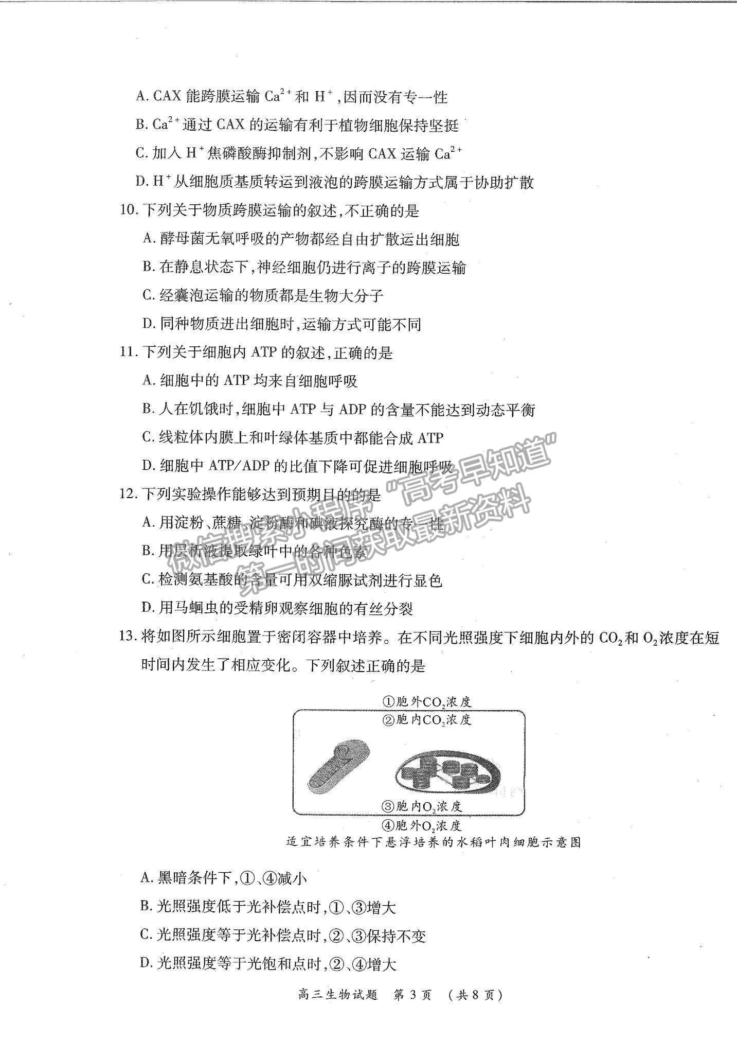 2022河南省中原名校高三上學(xué)期第一次聯(lián)考生物試題及參考答案