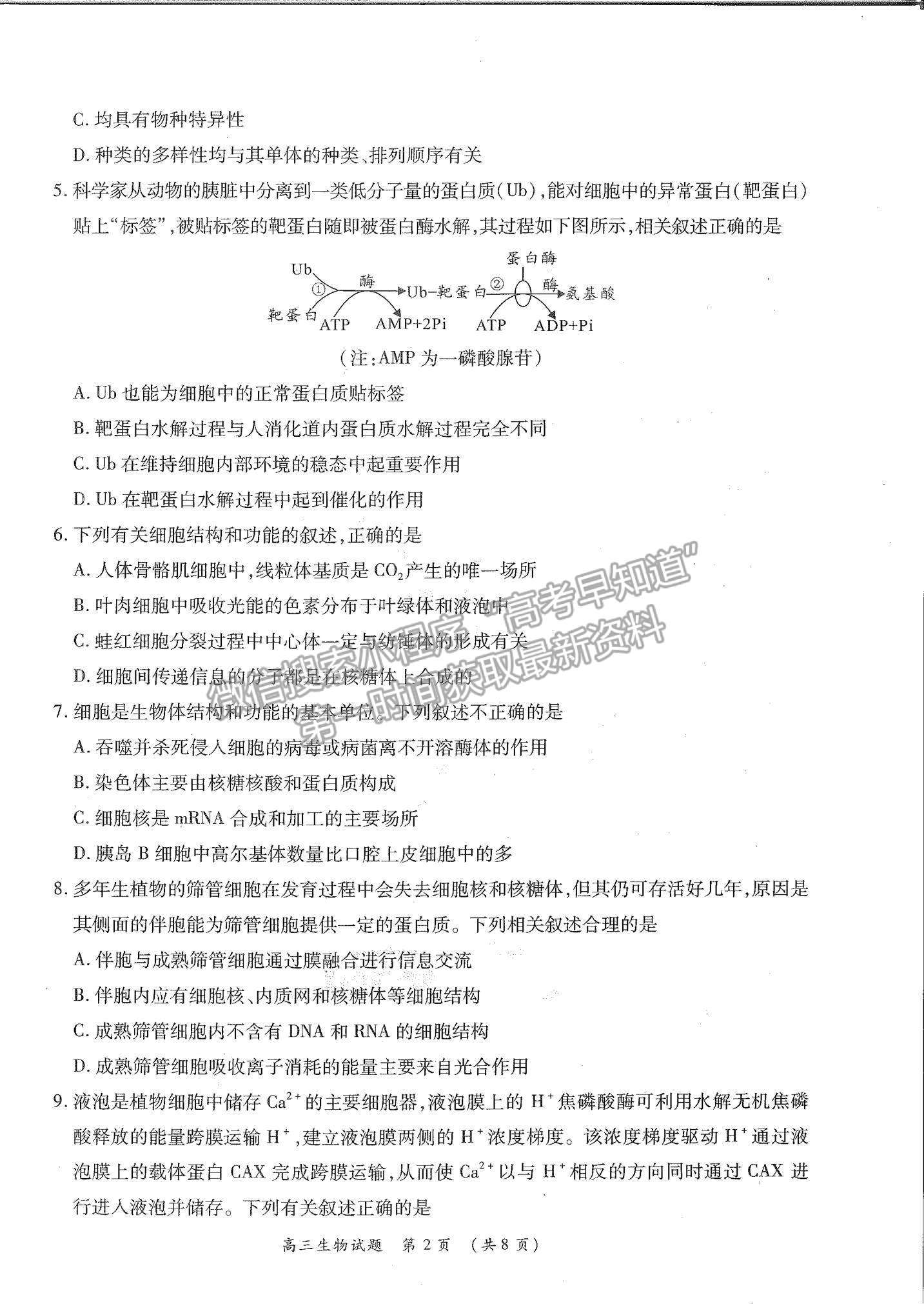 2022河南省中原名校高三上學(xué)期第一次聯(lián)考生物試題及參考答案