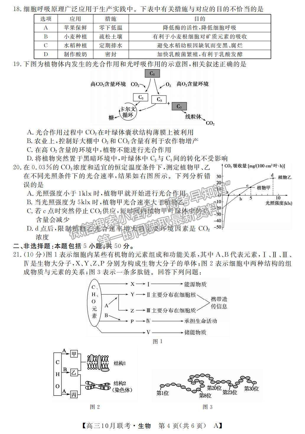 2022河南省名校聯(lián)盟高三上學(xué)期10月聯(lián)考生物試題及參考答案