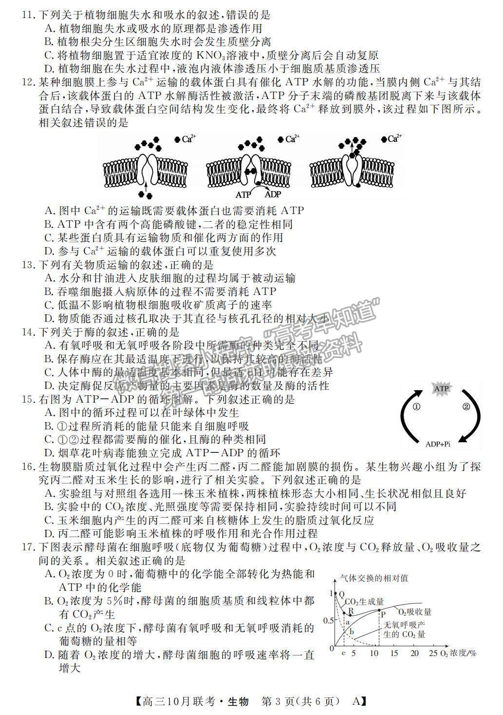 2022河南省名校聯(lián)盟高三上學(xué)期10月聯(lián)考生物試題及參考答案