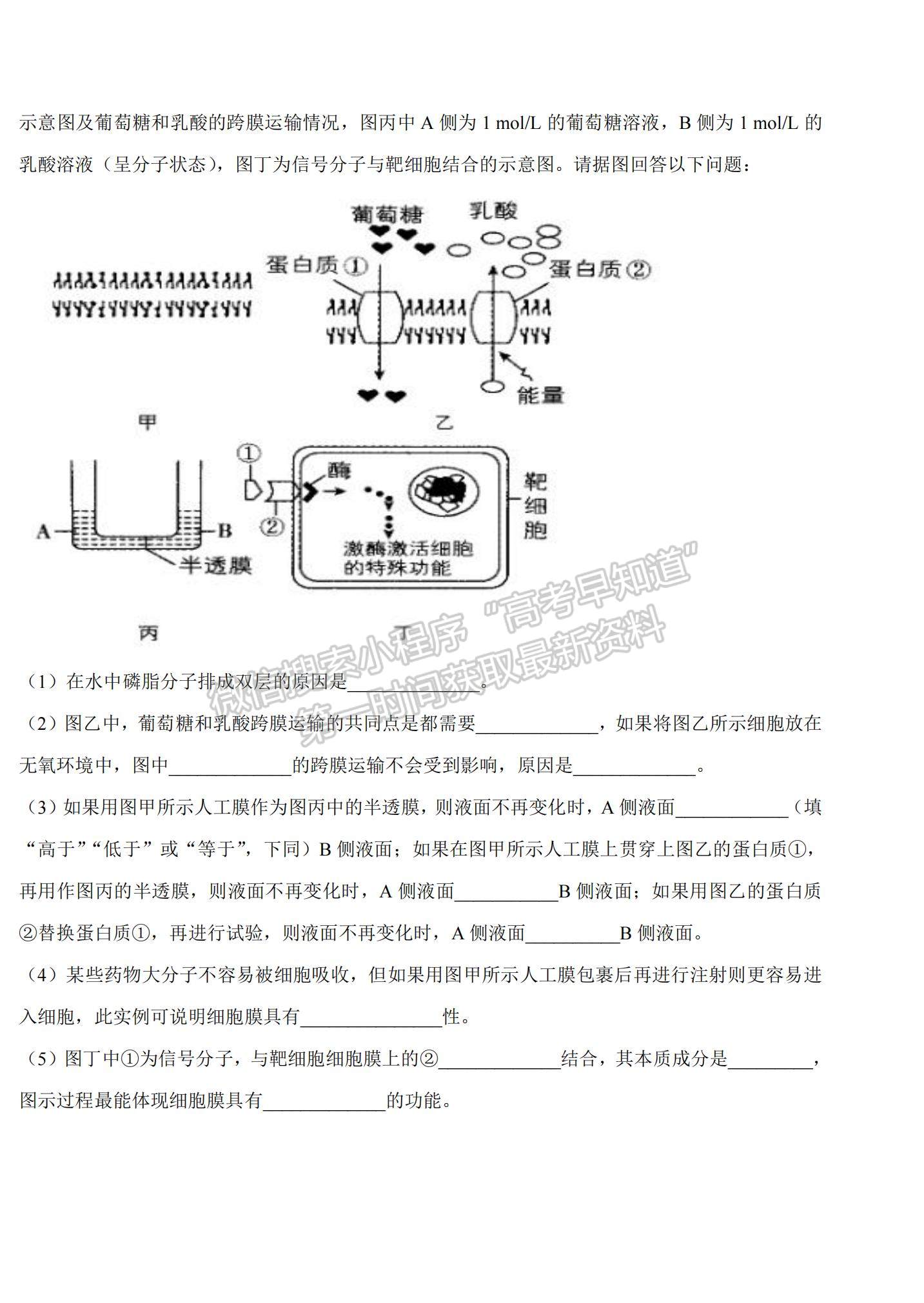 2021山西省陽泉市盂縣第三中學(xué)高三上學(xué)期第一次月考生物試題及參考答案