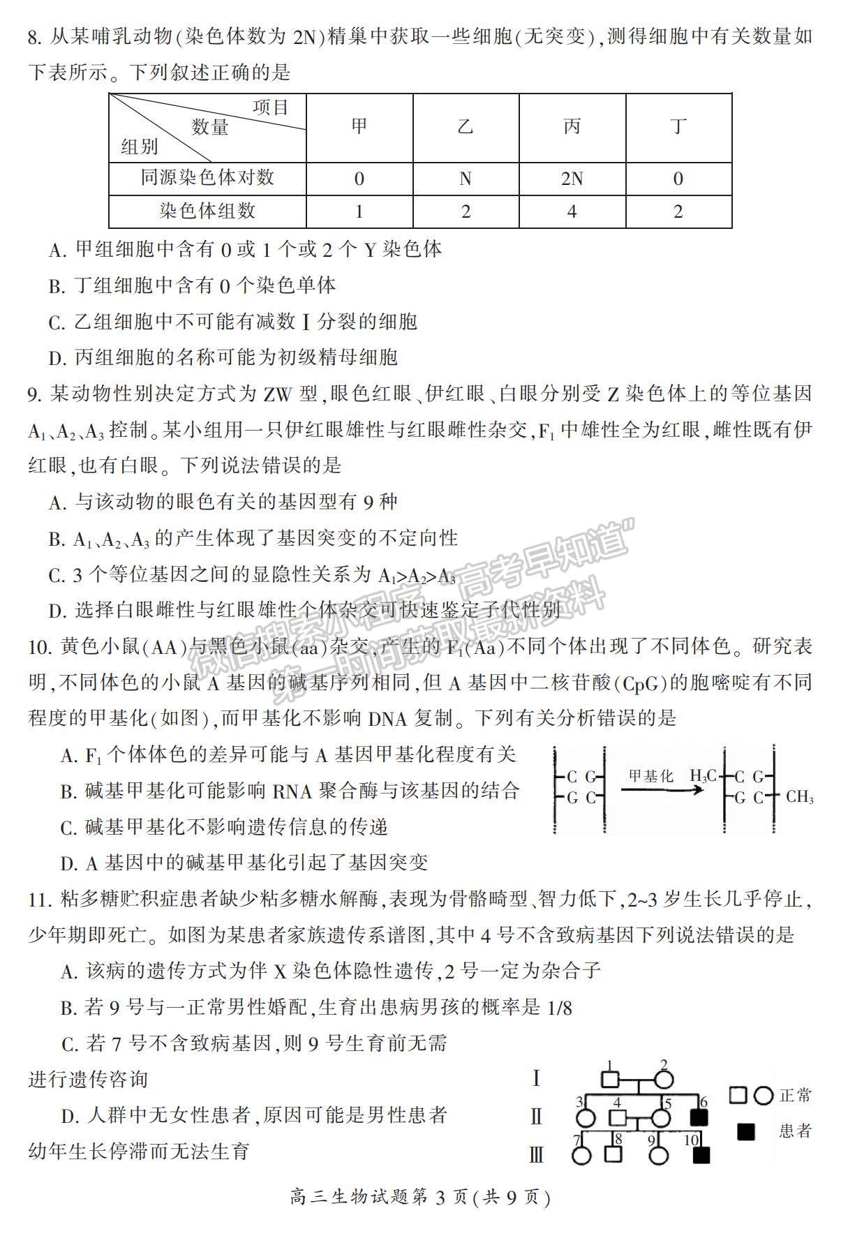 2022湖南省郴州市高三上學期第一次質檢生物試題及參考答案