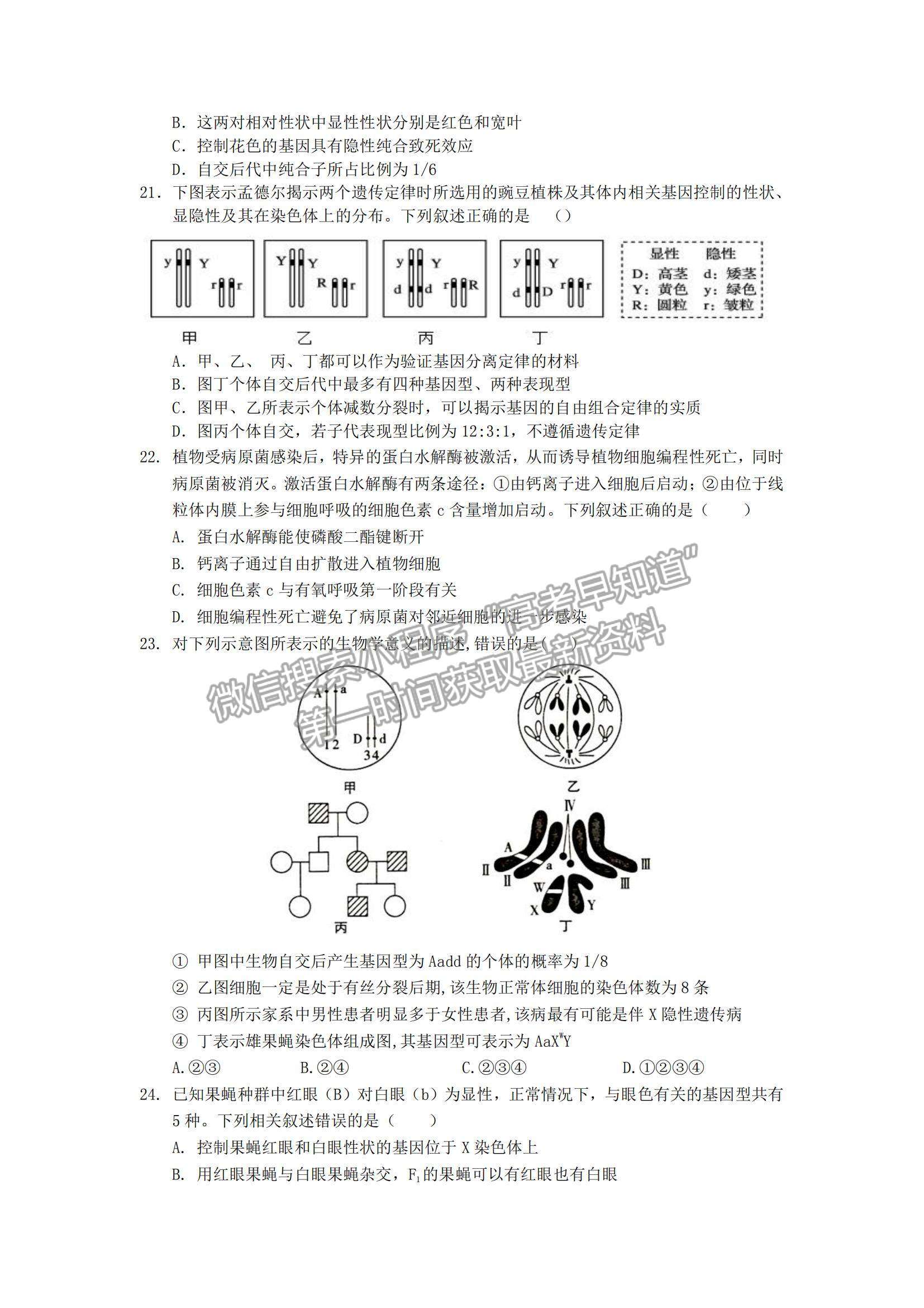 2021江西省興國縣第三中學(xué)高三上學(xué)期第四次月考生物試題及參考答案