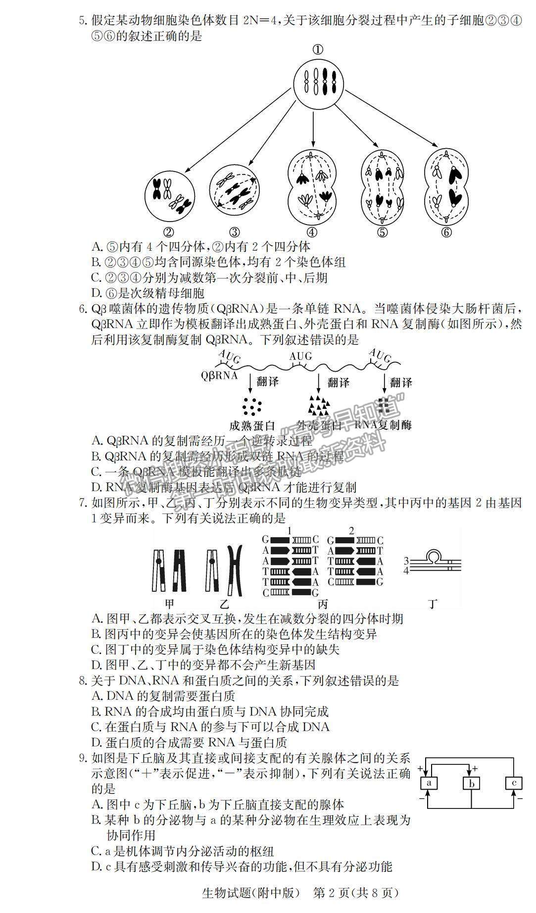 2021湖南師大附中高三下學(xué)期高考模擬試卷（二）生物試題及參考答案