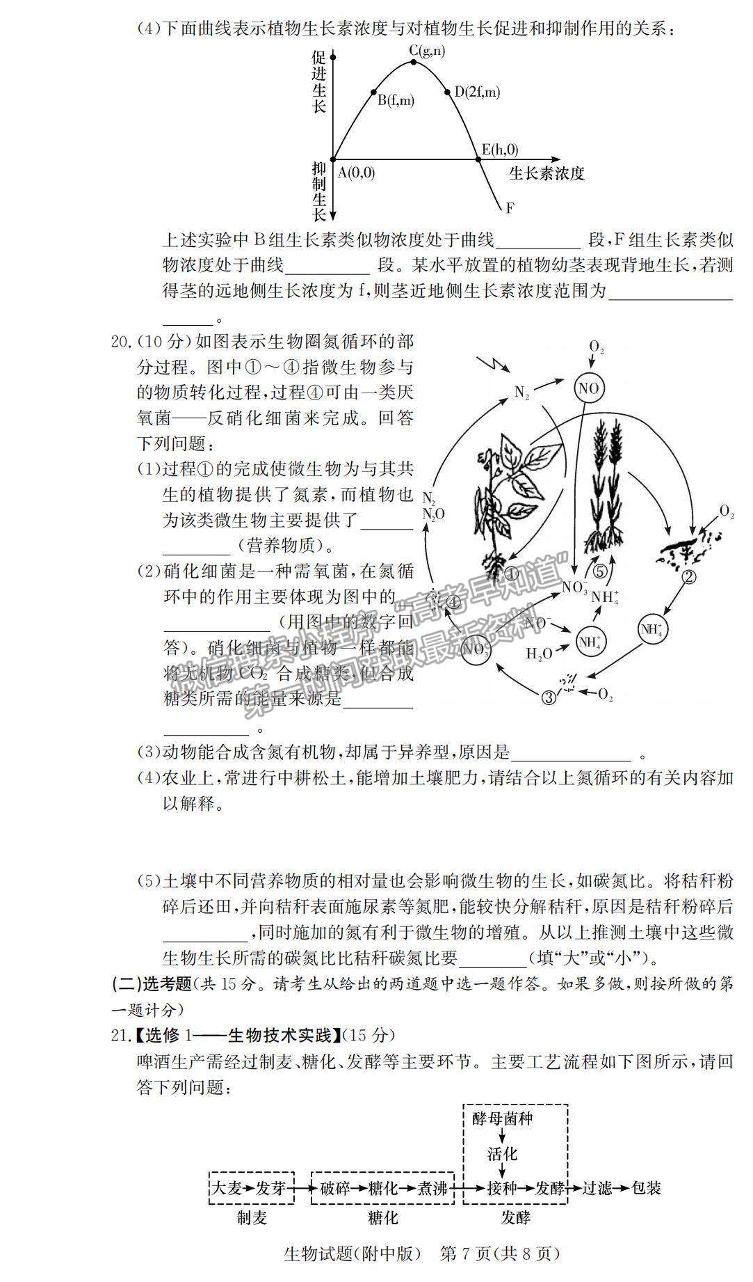 2021湖南師大附中高三下學(xué)期高考模擬試卷（二）生物試題及參考答案