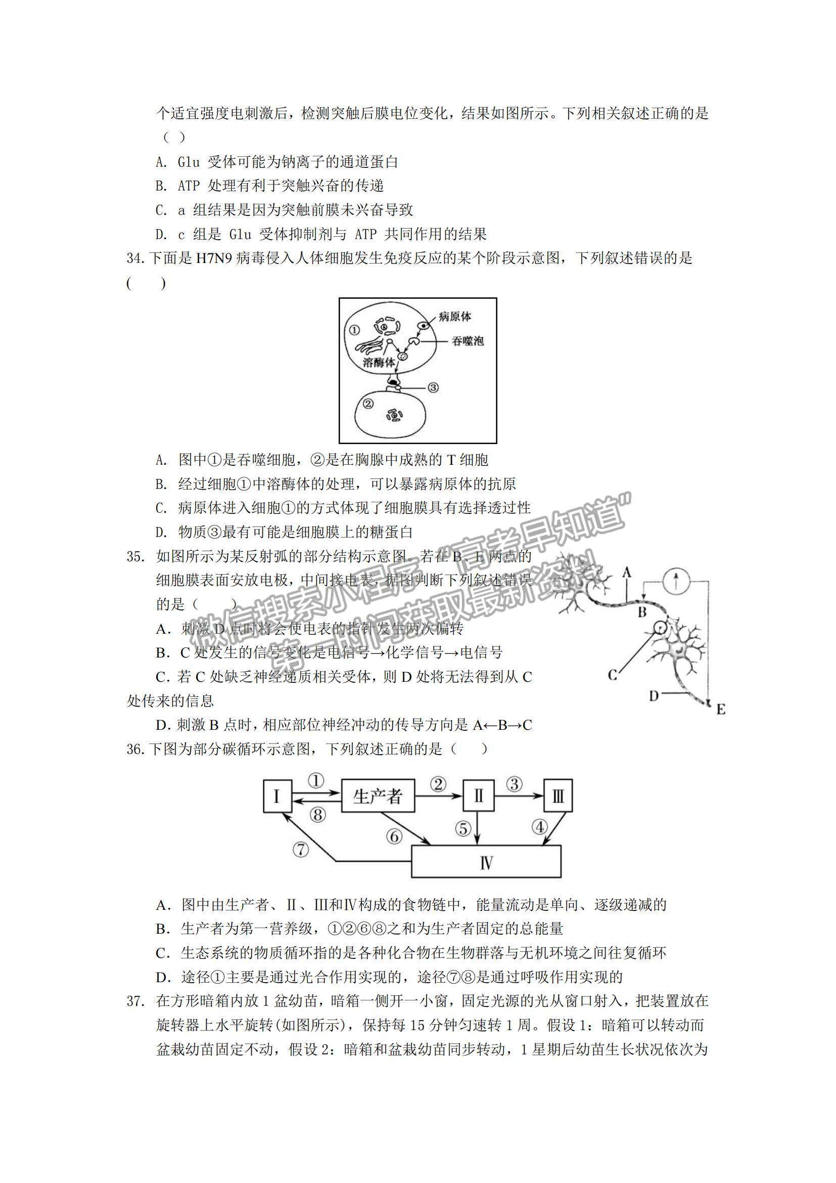 2021江西省興國縣第三中學(xué)高三上學(xué)期第四次月考生物試題及參考答案