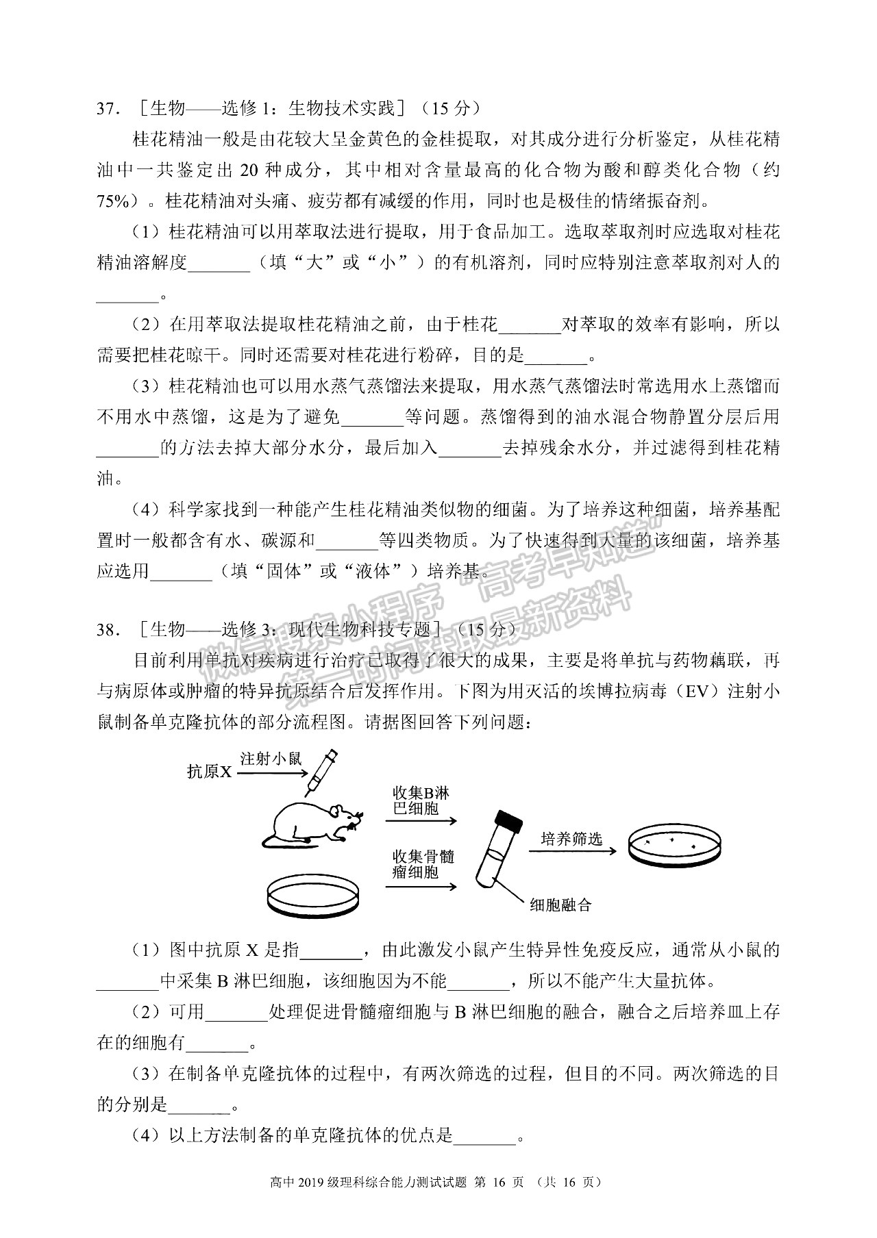 2022四川省蓉城名校聯(lián)盟高三第一次聯(lián)考理科綜合試卷