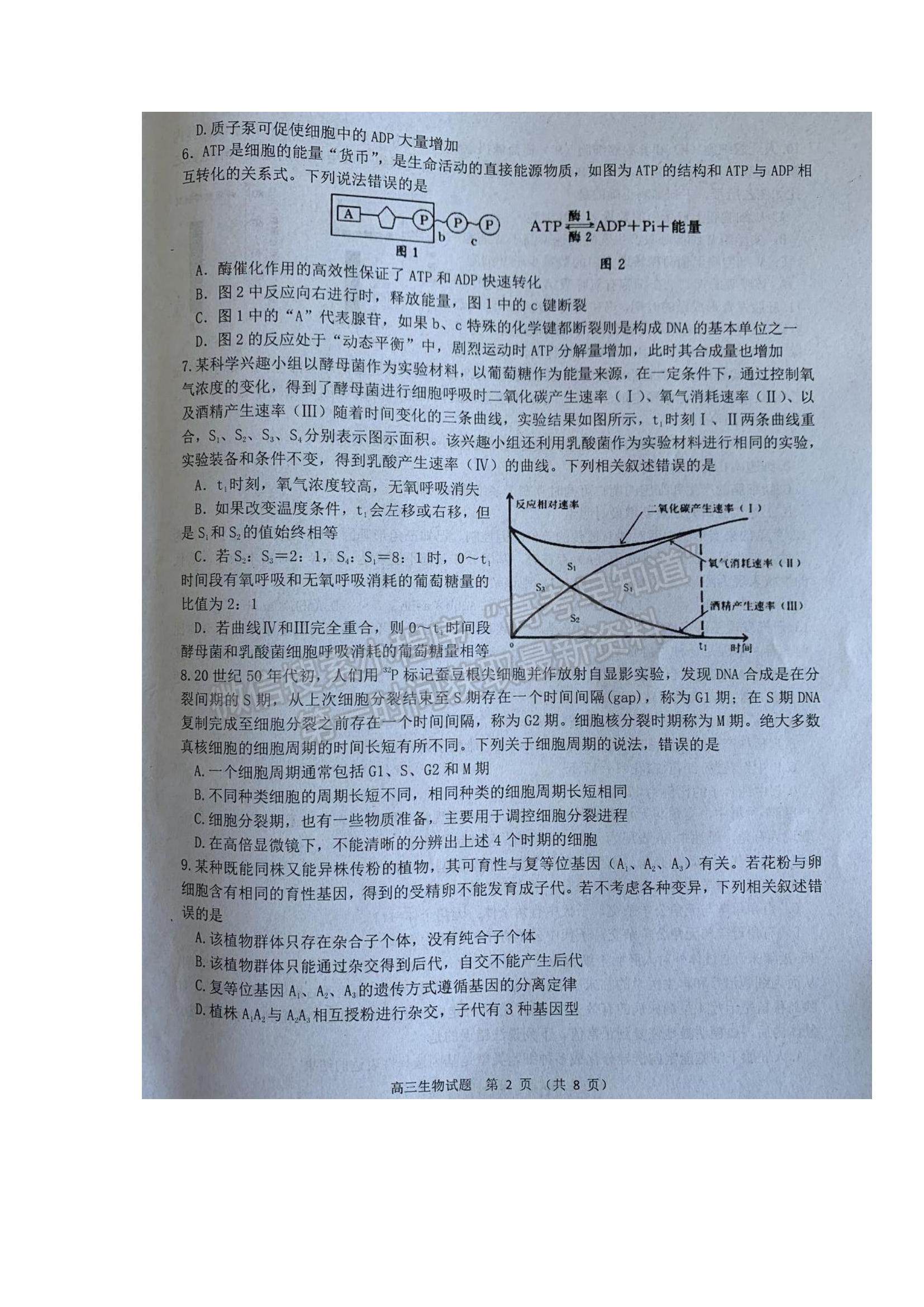 2022山東省濰坊市五縣市高三上學期第一次聯(lián)考生物試題及參考答案