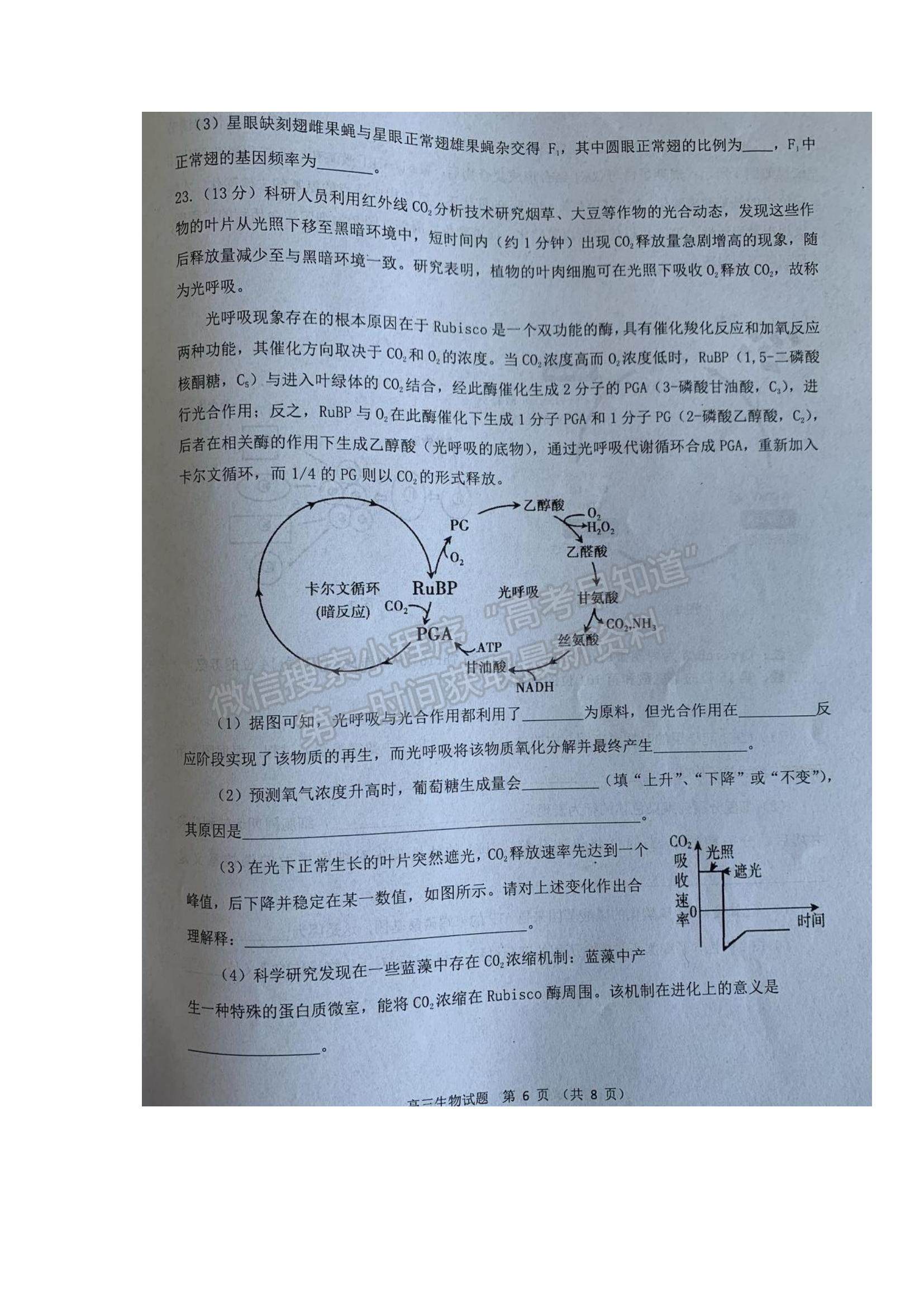 2022山東省濰坊市五縣市高三上學(xué)期第一次聯(lián)考生物試題及參考答案