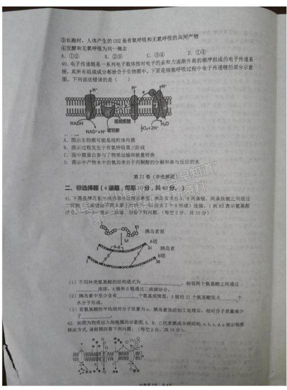 2021安徽省靈璧縣第一中學高一12月月考生物試題及參考答案