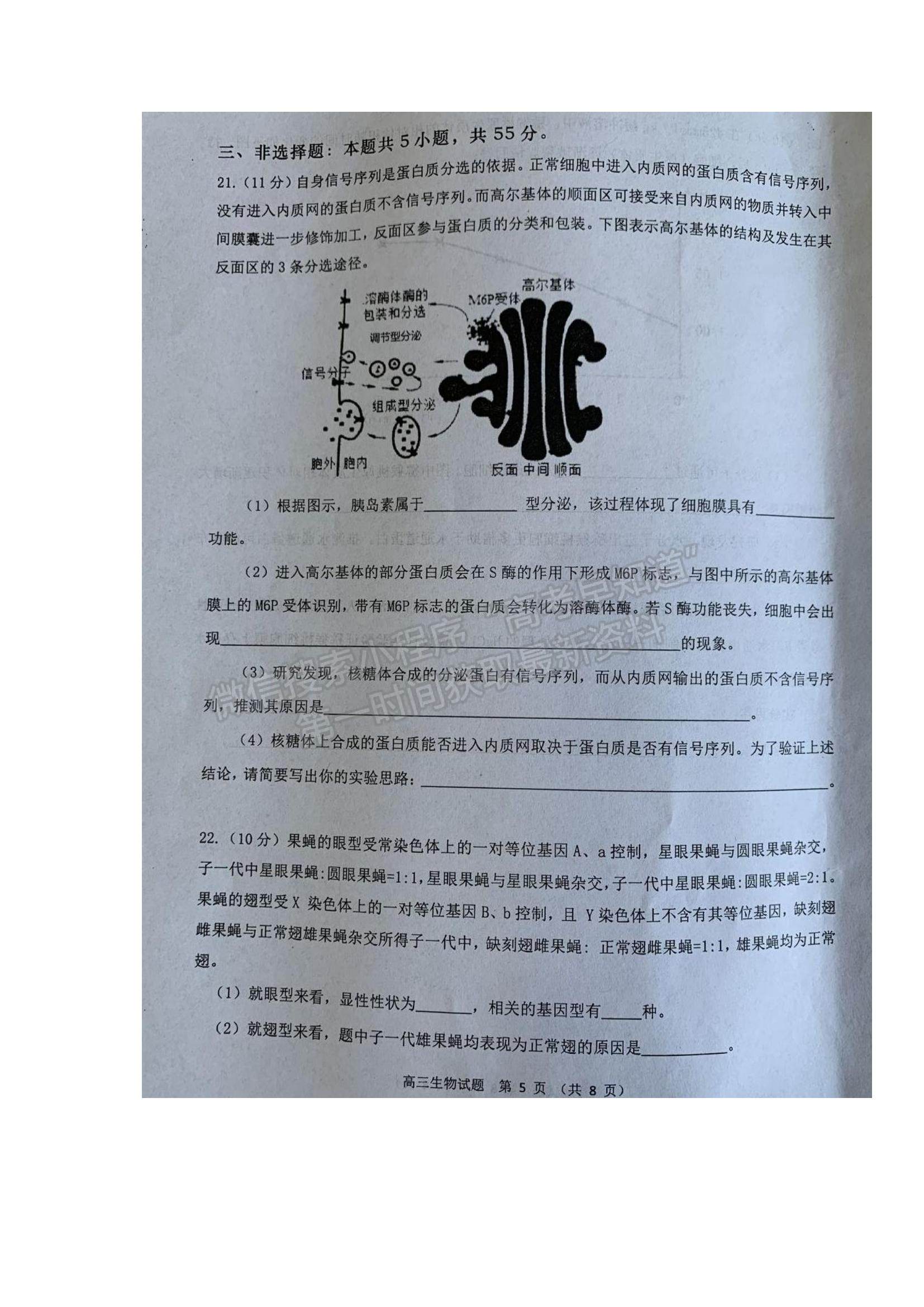 2022山東省濰坊市五縣市高三上學(xué)期第一次聯(lián)考生物試題及參考答案