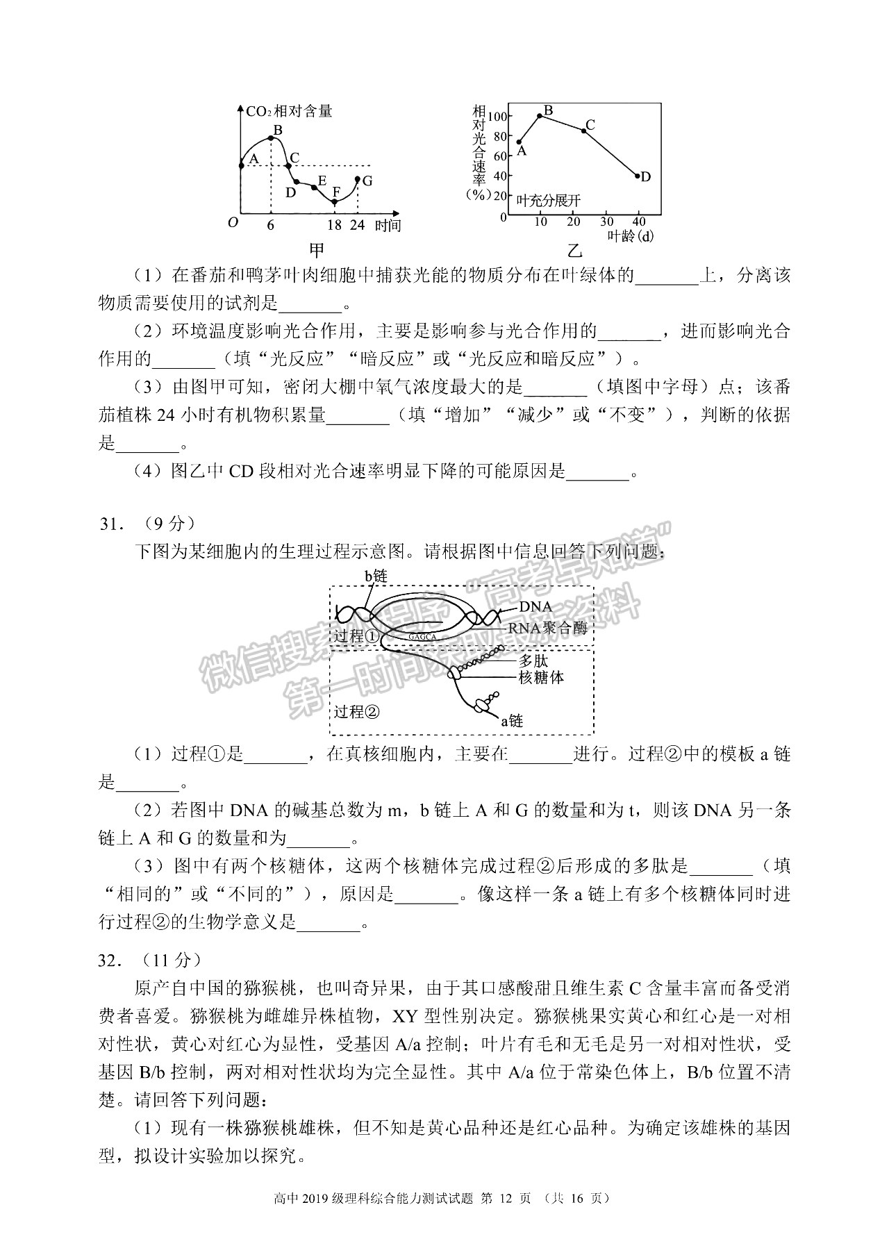 2022四川省蓉城名校聯(lián)盟高三第一次聯(lián)考理科綜合試卷