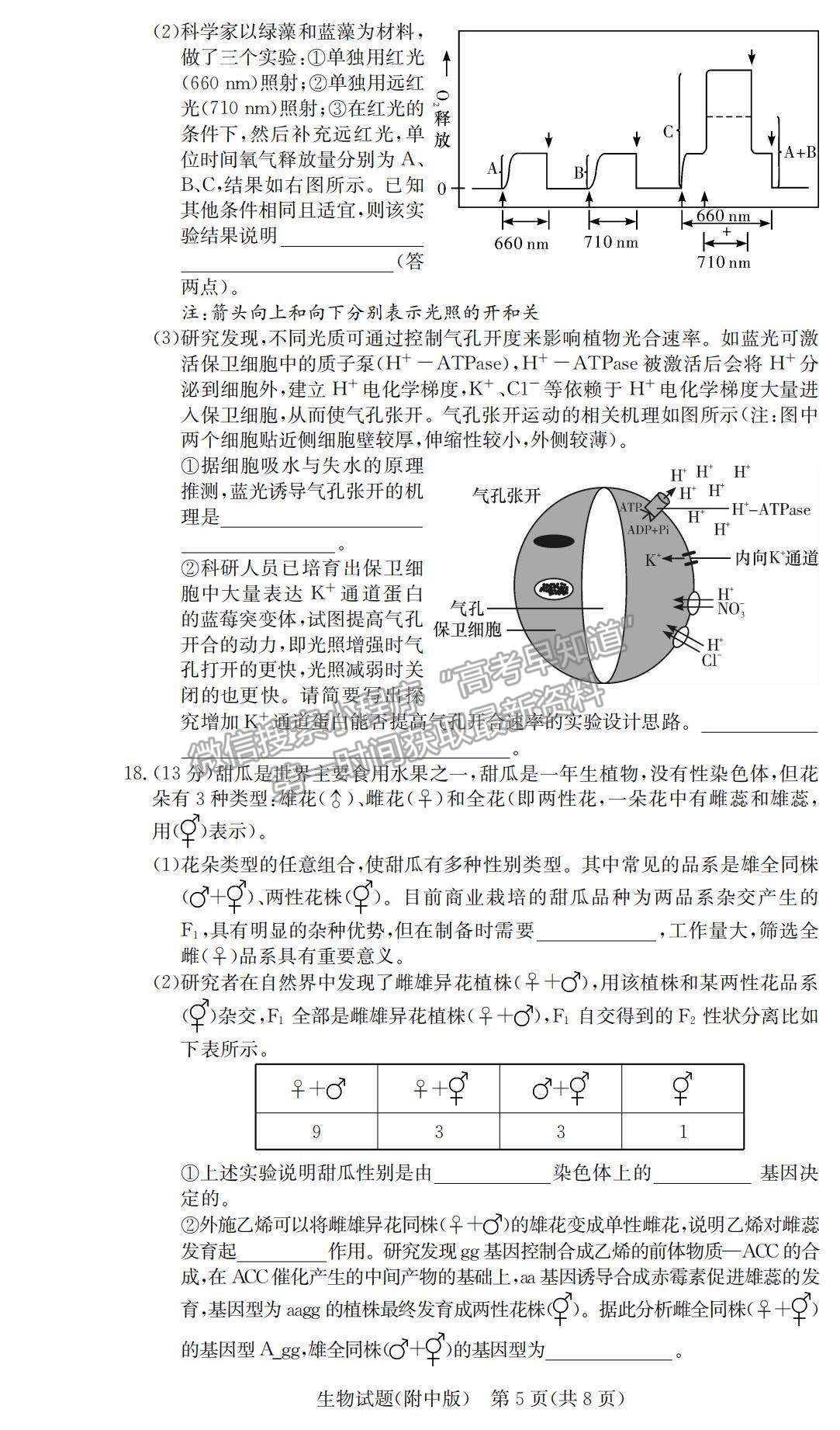 2021湖南師大附中高三下學(xué)期高考模擬試卷（二）生物試題及參考答案