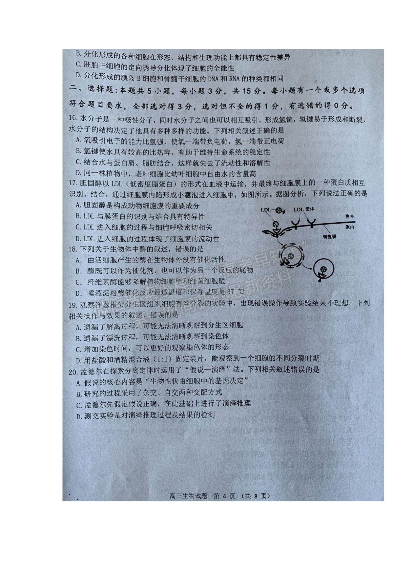 2022山東省濰坊市五縣市高三上學期第一次聯(lián)考生物試題及參考答案