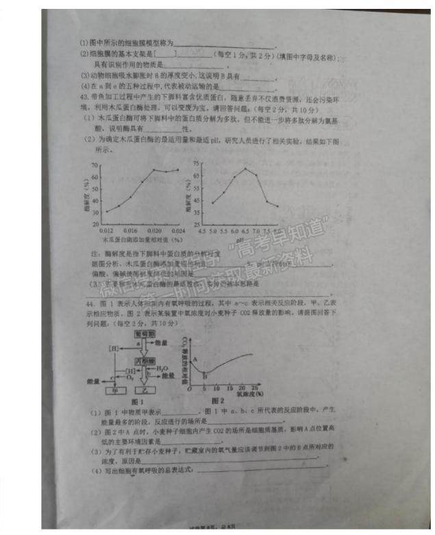 2021安徽省靈璧縣第一中學高一12月月考生物試題及參考答案