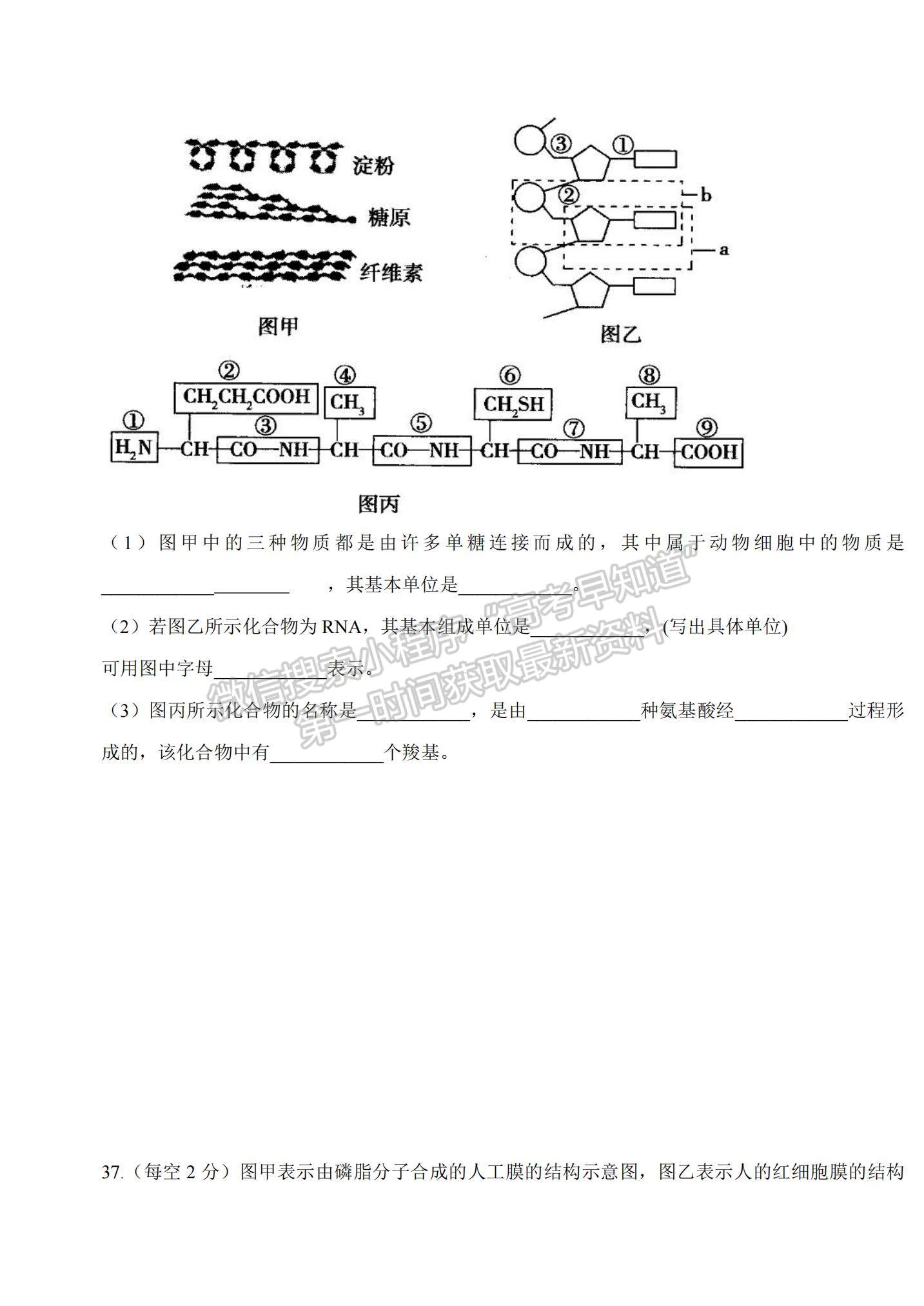 2021山西省陽泉市盂縣第三中學(xué)高三上學(xué)期第一次月考生物試題及參考答案