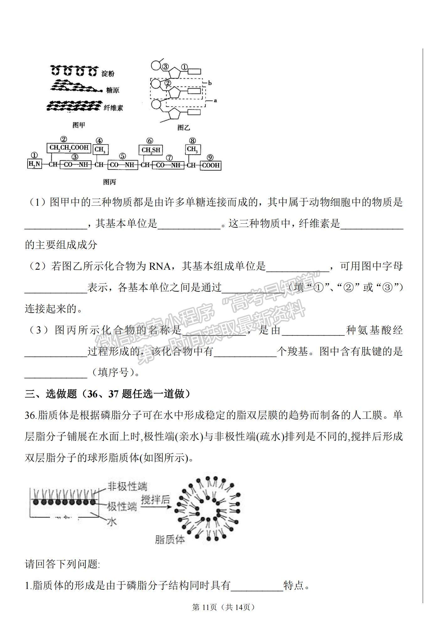 2021山西省太原十二中高一上學(xué)期10月月考生物試題及參考答案