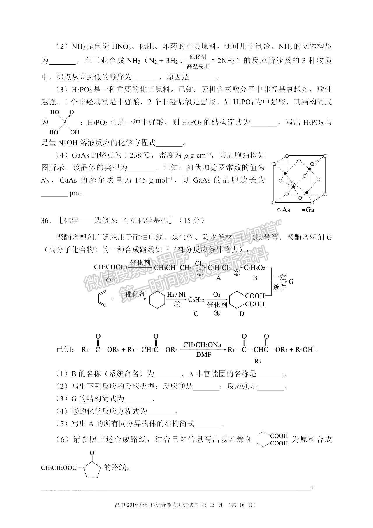 2022四川省蓉城名校聯(lián)盟高三第一次聯(lián)考理科綜合試卷