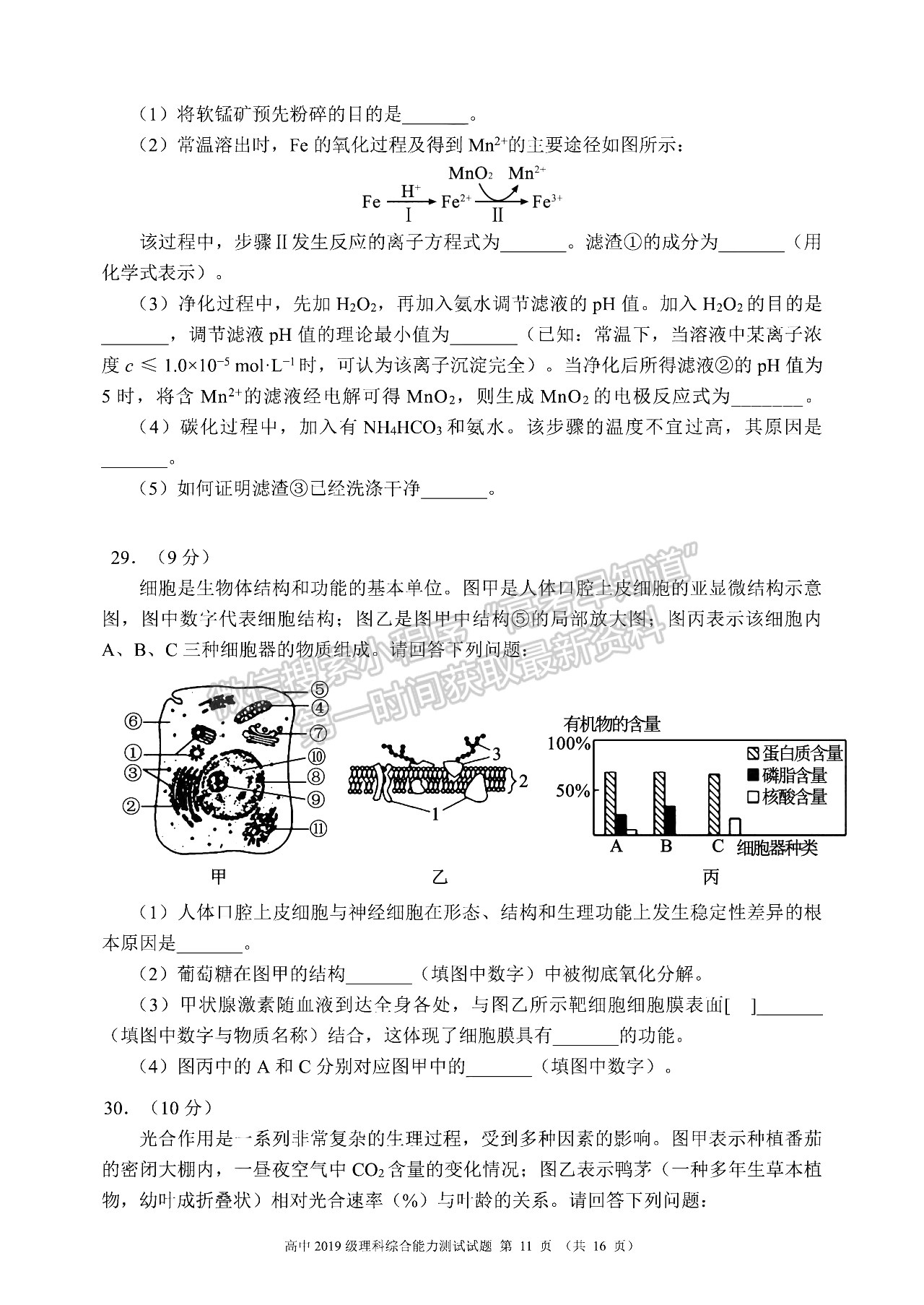 2022四川省蓉城名校聯(lián)盟高三第一次聯(lián)考理科綜合試卷