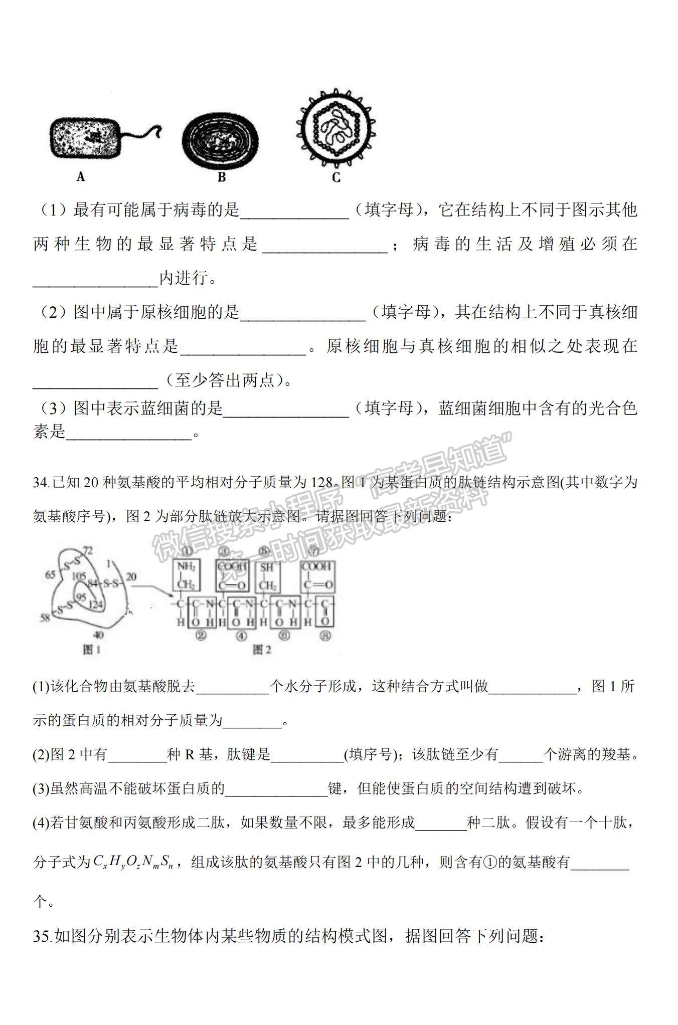 2021山西省太原十二中高一上學(xué)期10月月考生物試題及參考答案