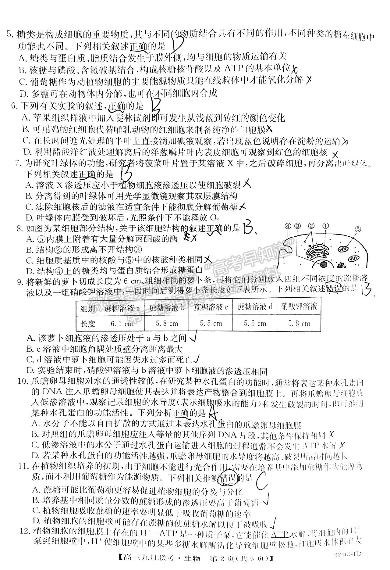 2022皖北名校高三9月聯(lián)考生物試卷