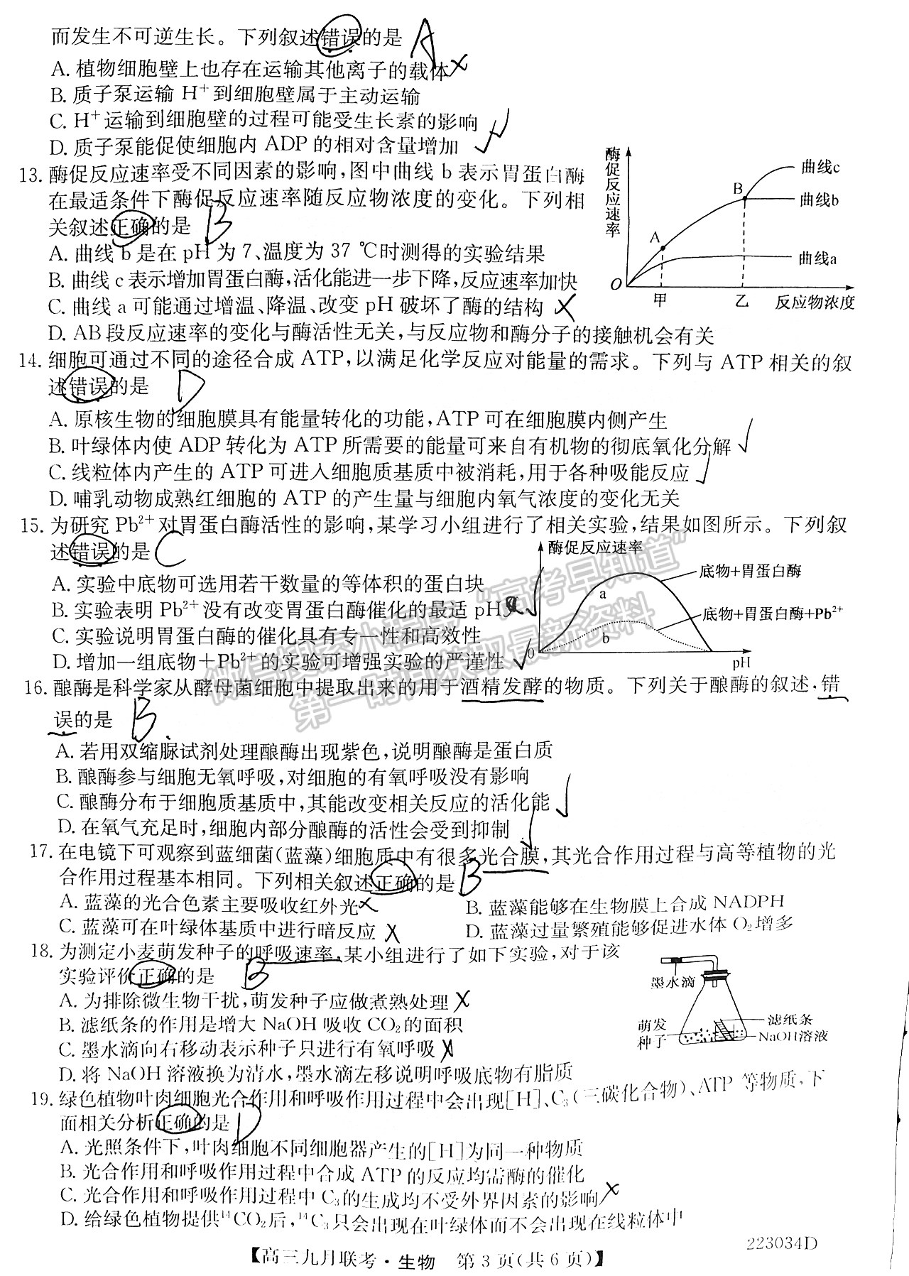 2022皖北名校高三9月聯(lián)考生物試卷