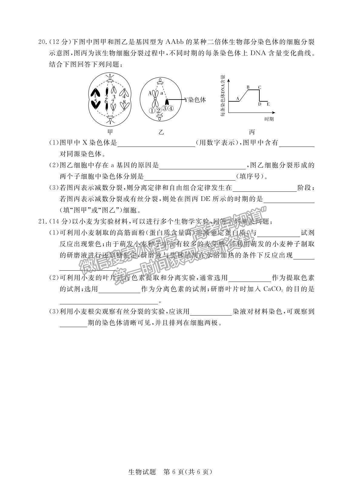 2022廣東省肇慶市高三上學(xué)期第一次統(tǒng)一檢測(cè)生物試題及參考答案