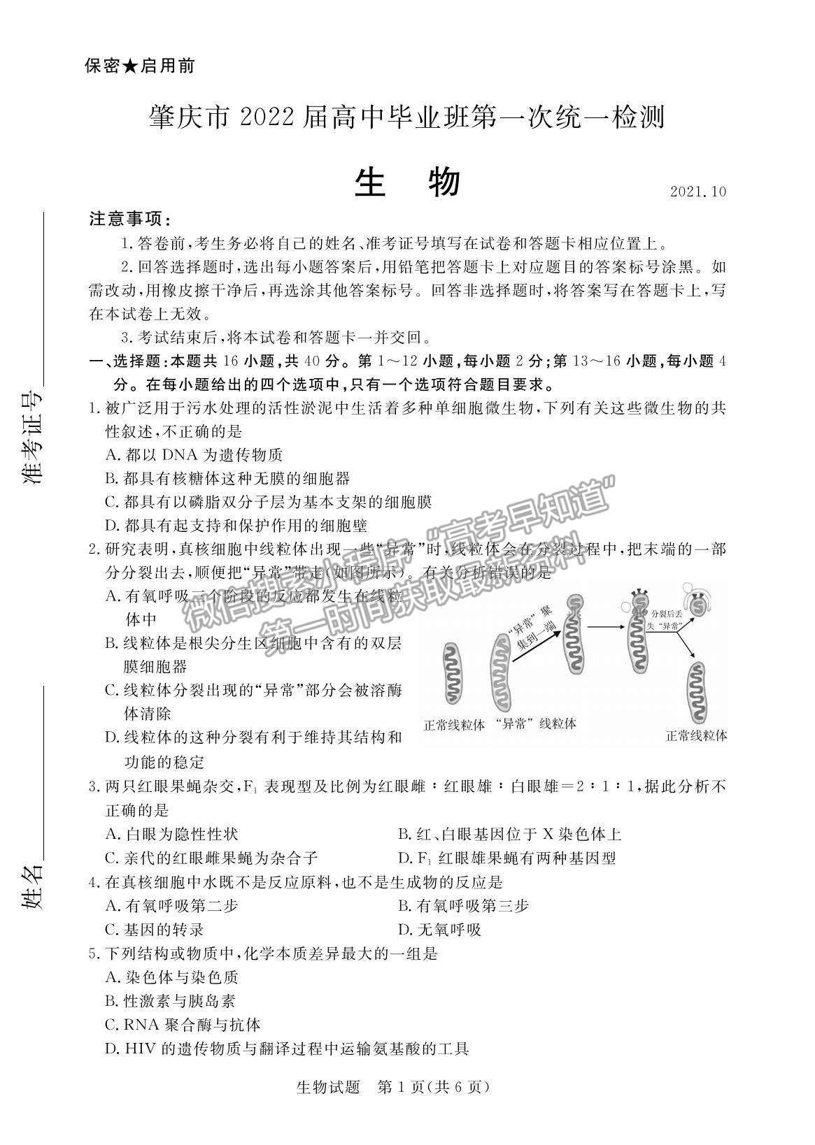 2022廣東省肇慶市高三上學期第一次統(tǒng)一檢測生物試題及參考答案