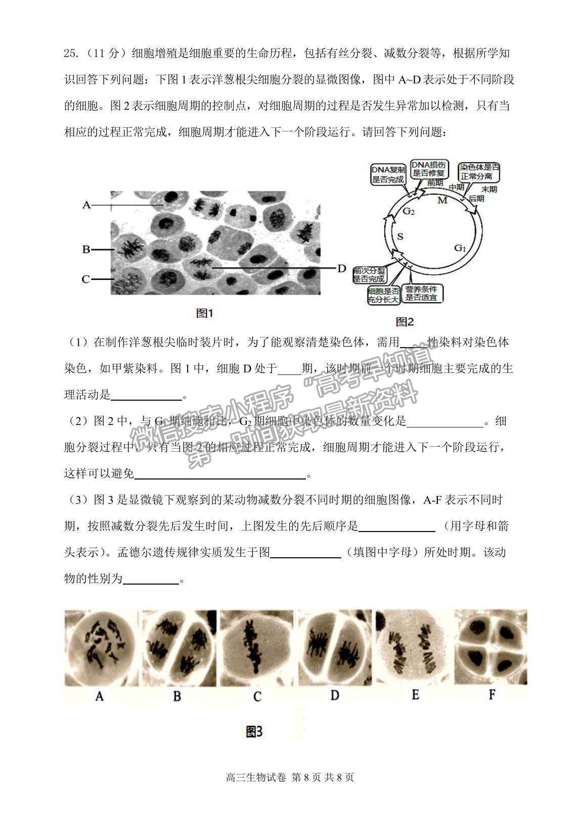 2022遼寧省丹東市高三上學期總復習階段測試生物試題及參考答案