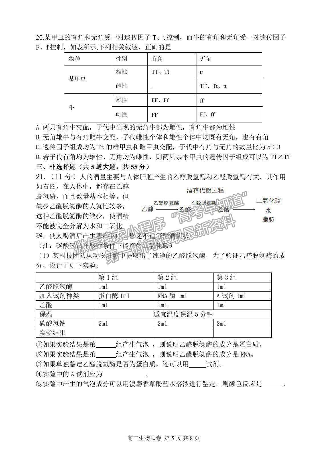 2022遼寧省丹東市高三上學(xué)期總復(fù)習(xí)階段測試生物試題及參考答案