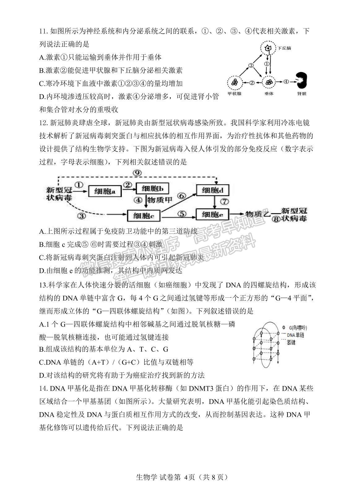 2021遼寧省丹東市高三下學(xué)期5月總復(fù)習(xí)質(zhì)量測試（二）生物試題及參考答案