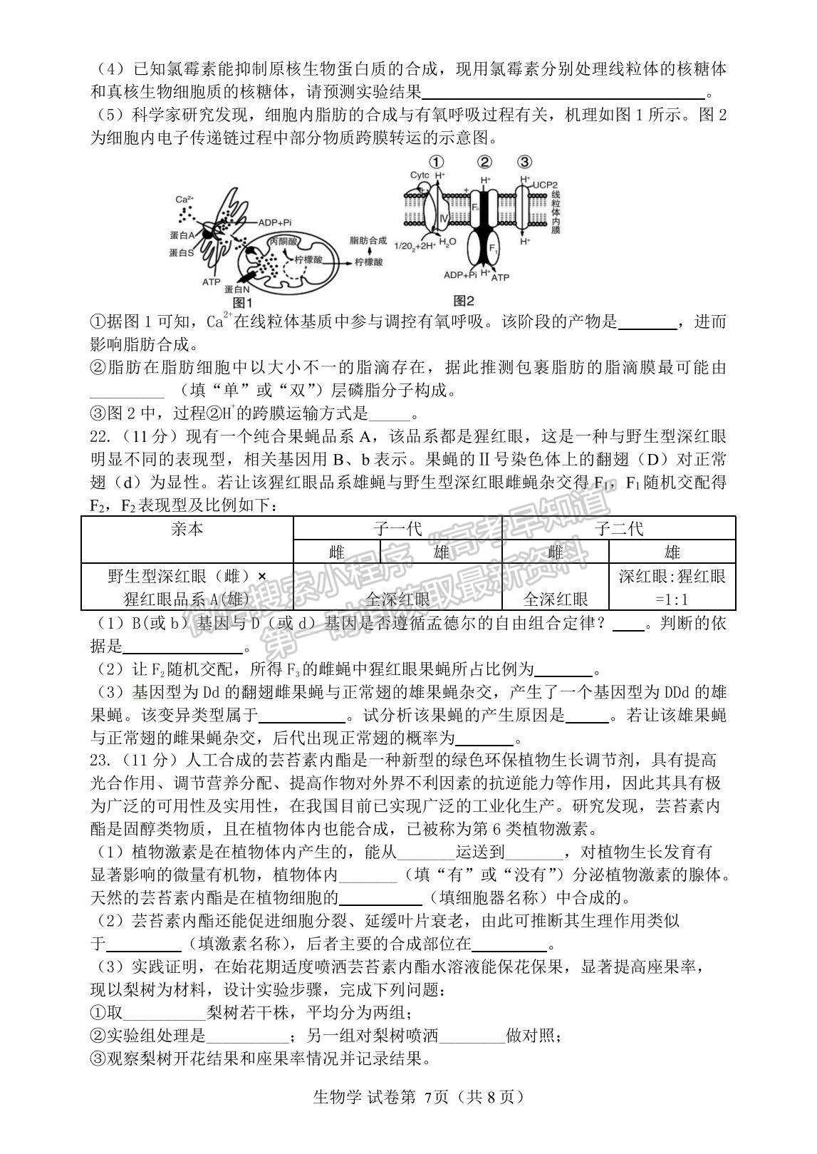 2021遼寧省丹東市高三下學期5月總復習質量測試（二）生物試題及參考答案